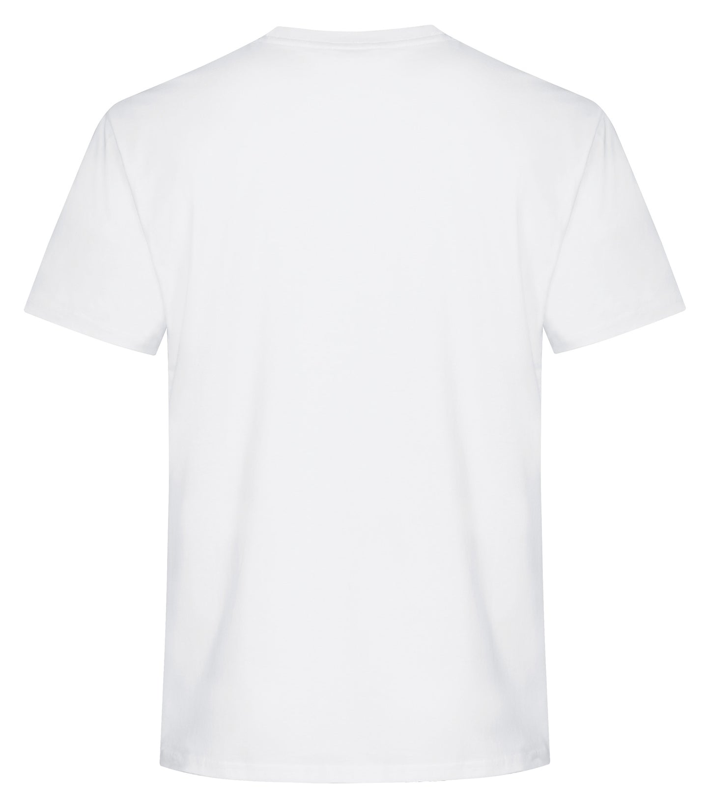 White-model Image