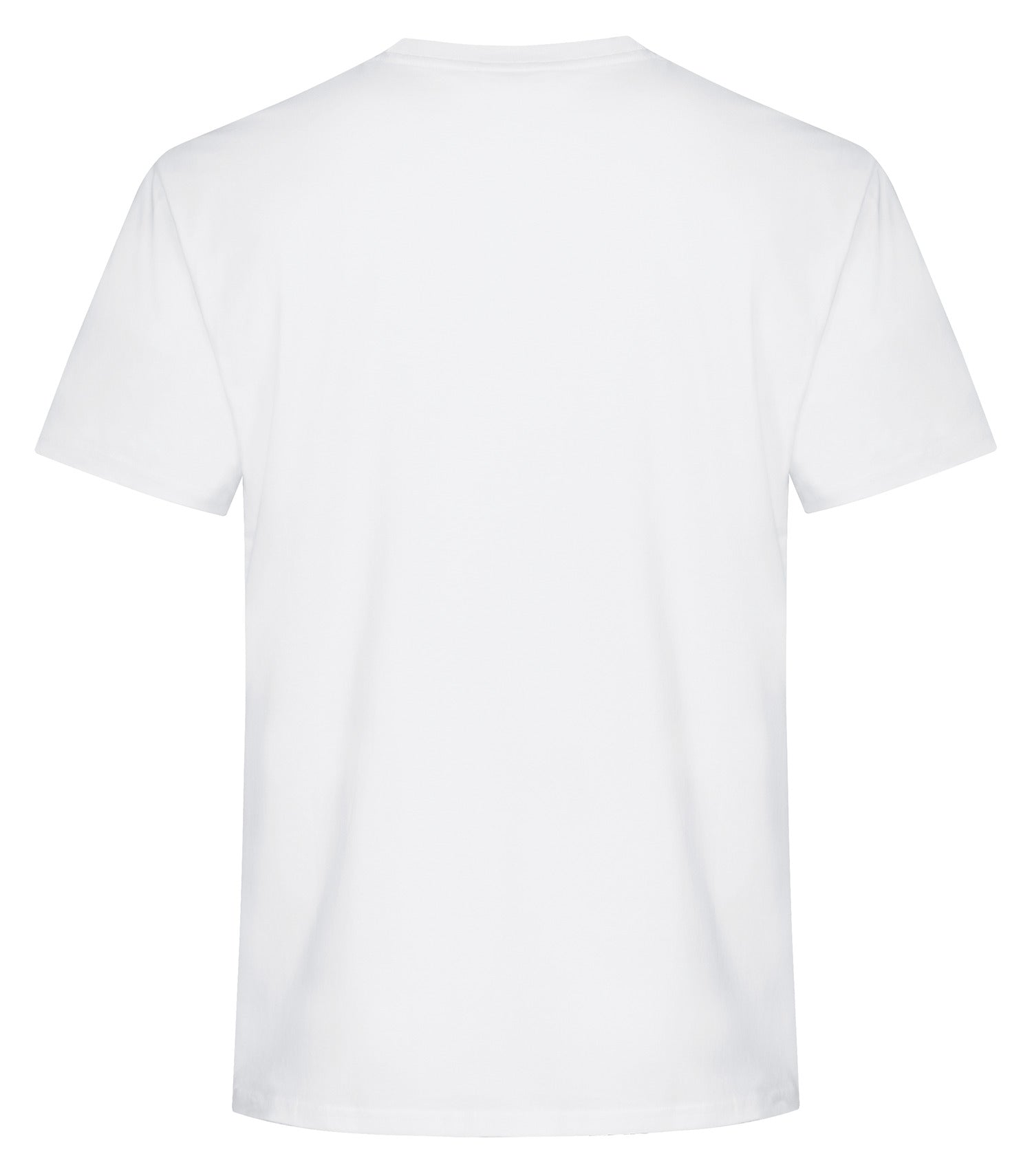 White-model Image