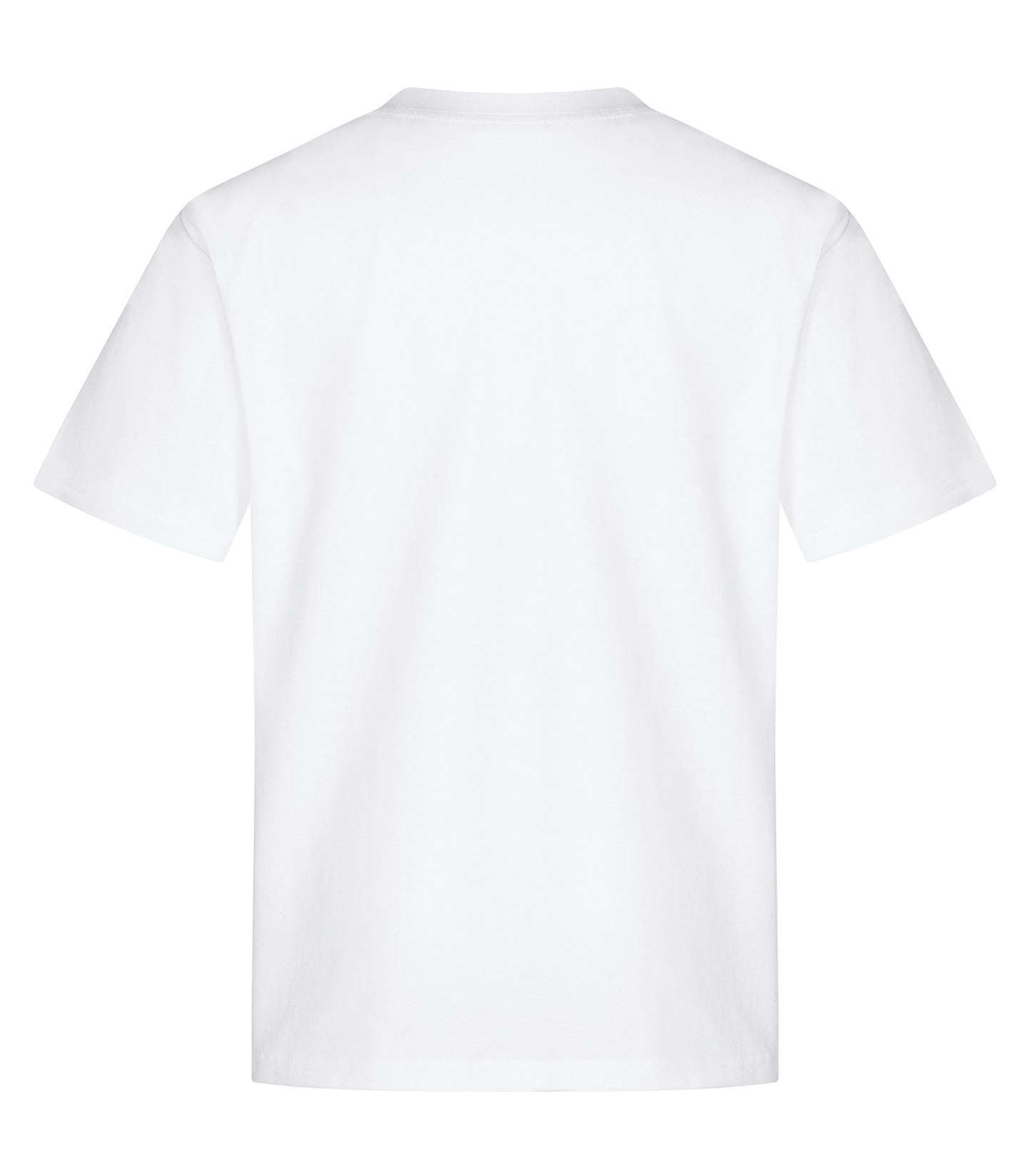 White-model Image