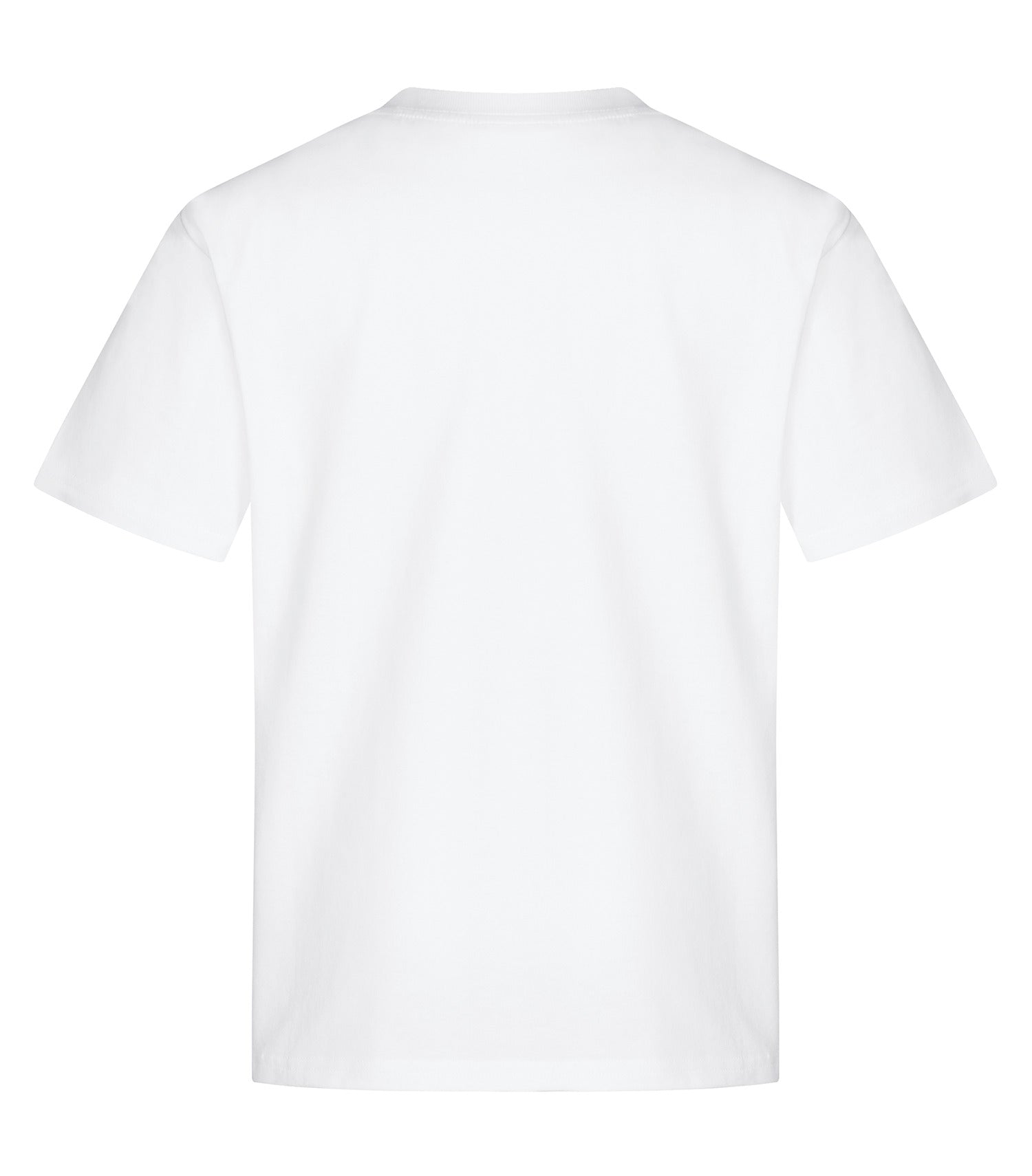 White-model Image