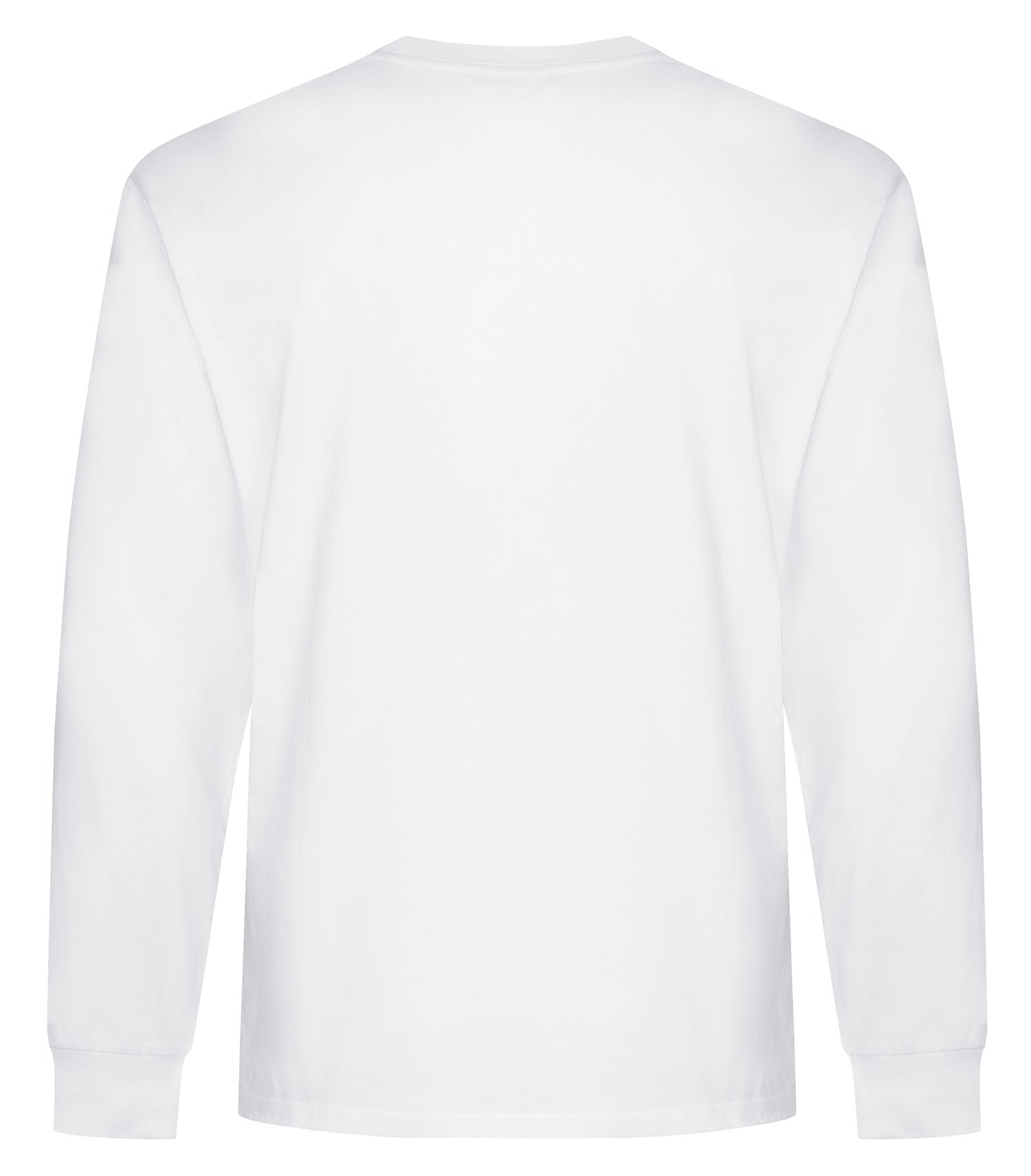 White-model Image