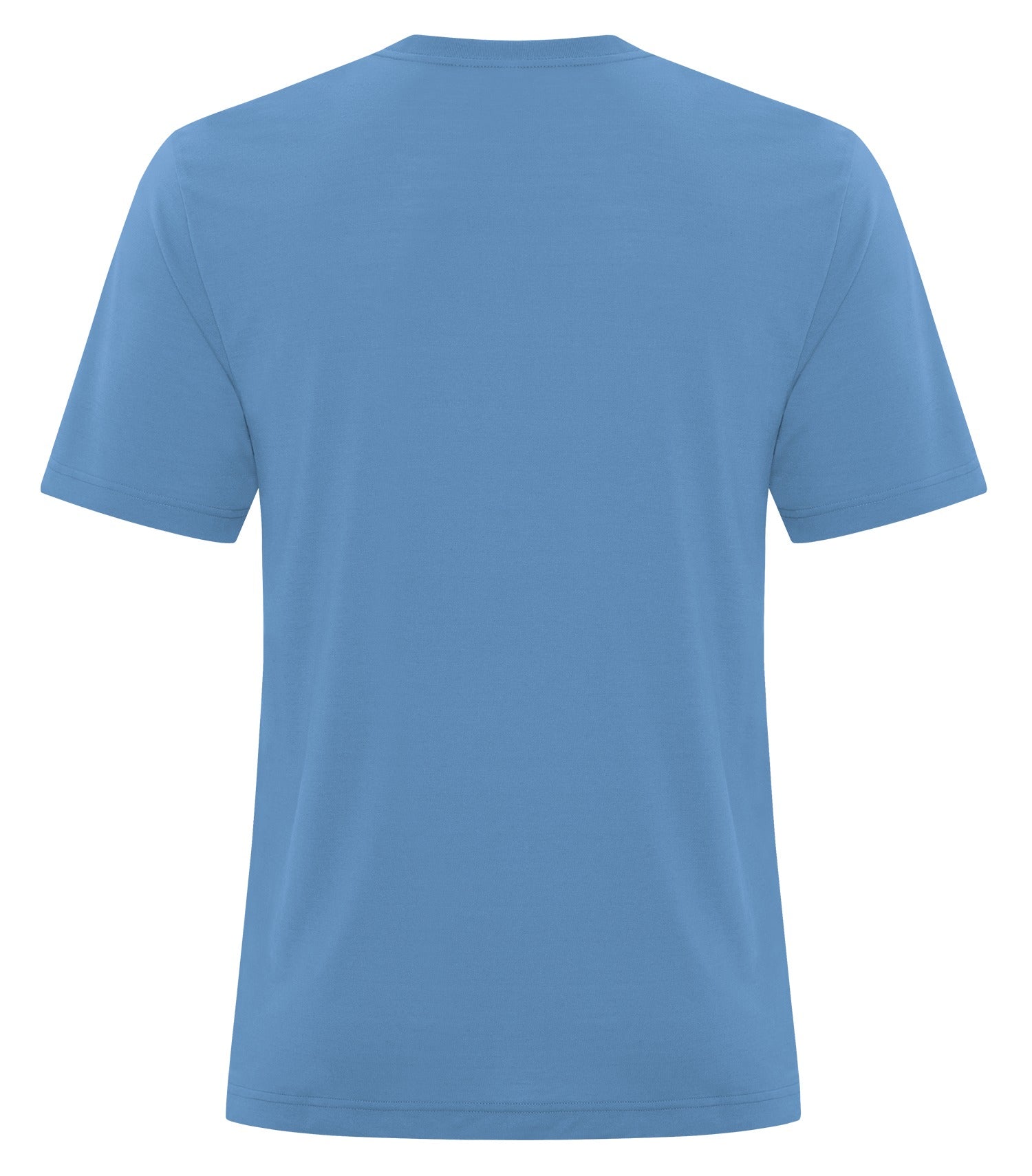 Carolina Blue-model Image