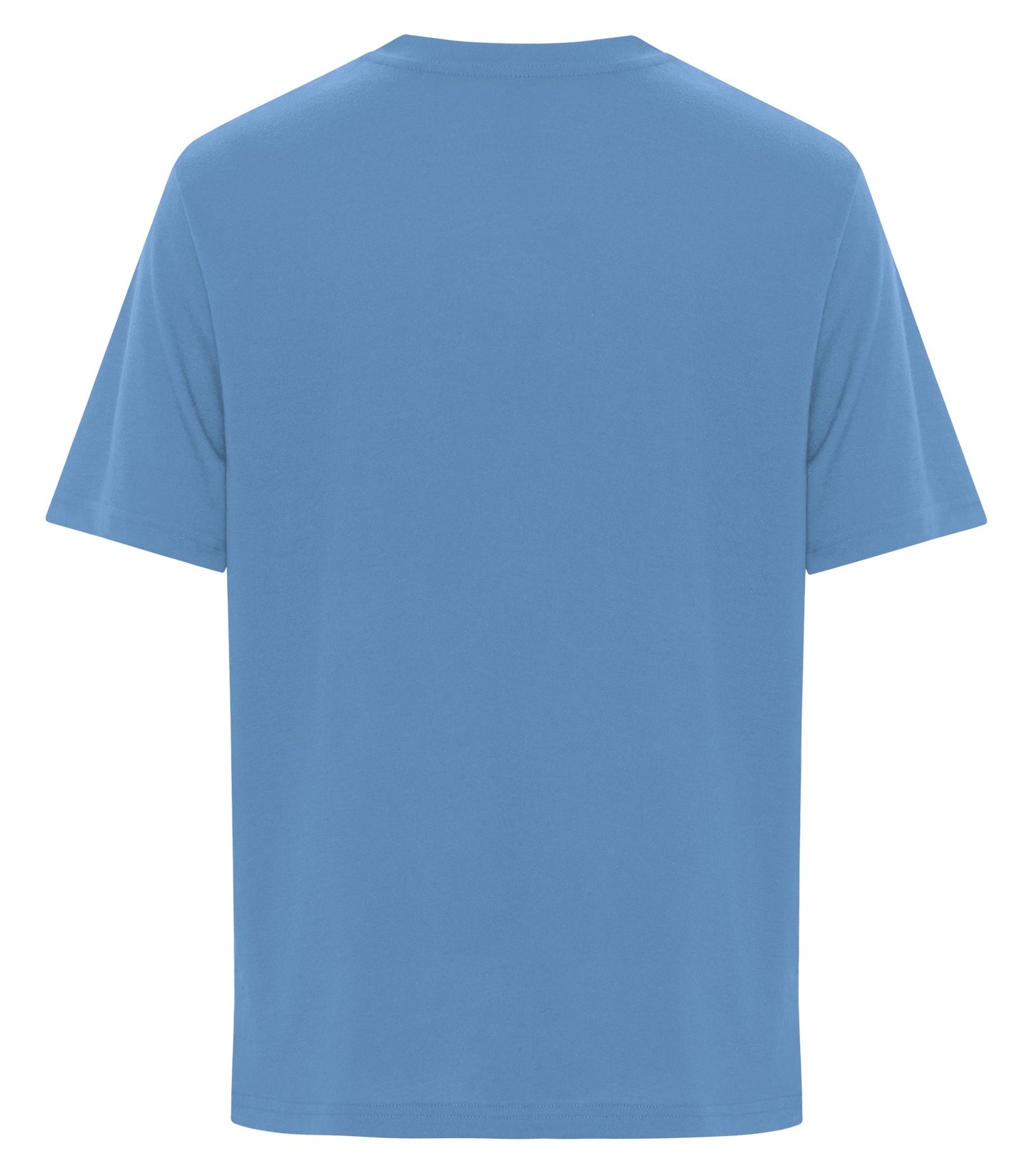 Carolina Blue-model Image