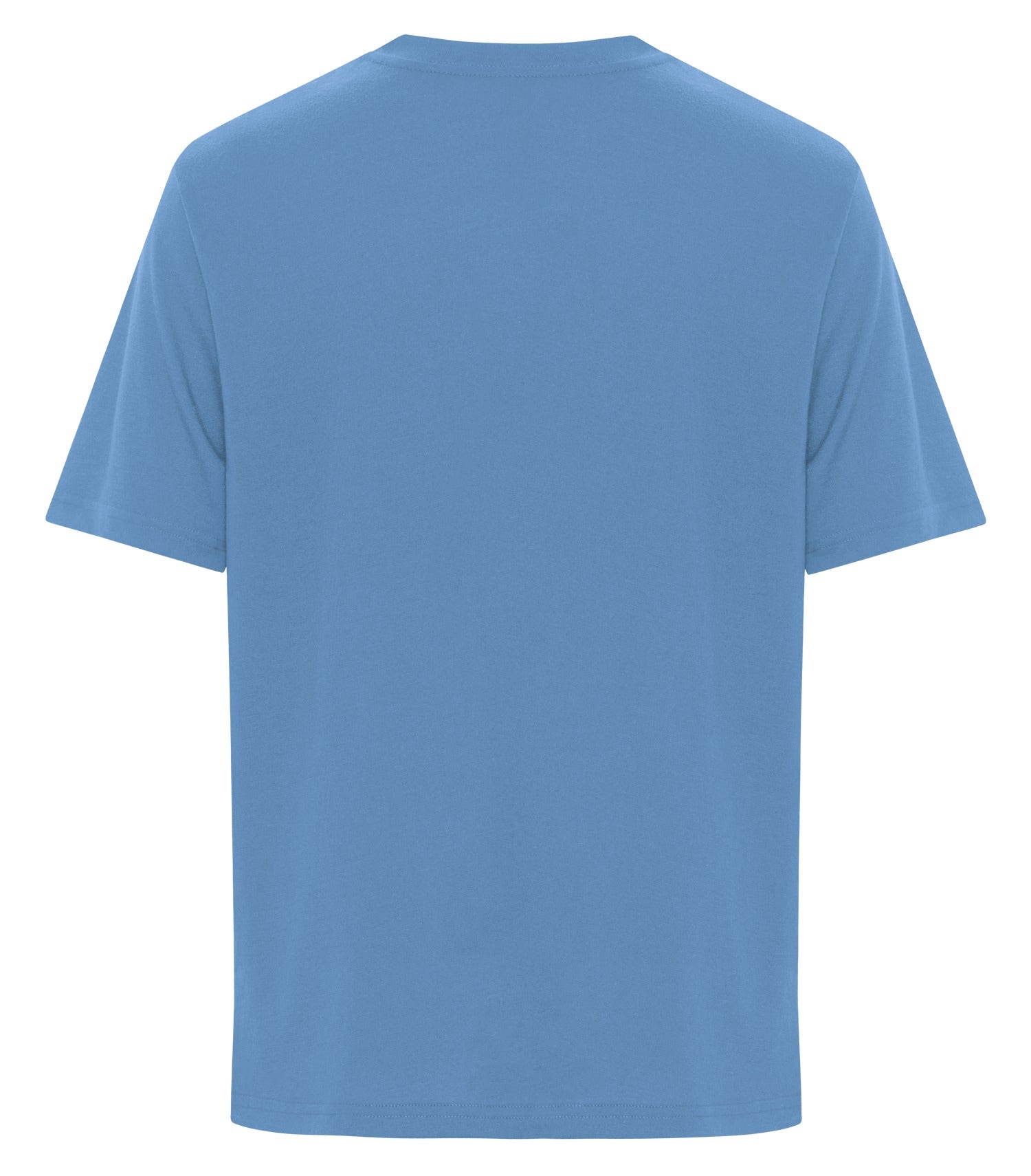Carolina Blue-model Image