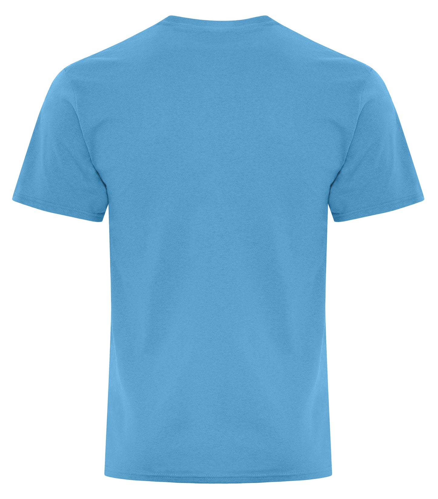 Aquatic Blue-model Image