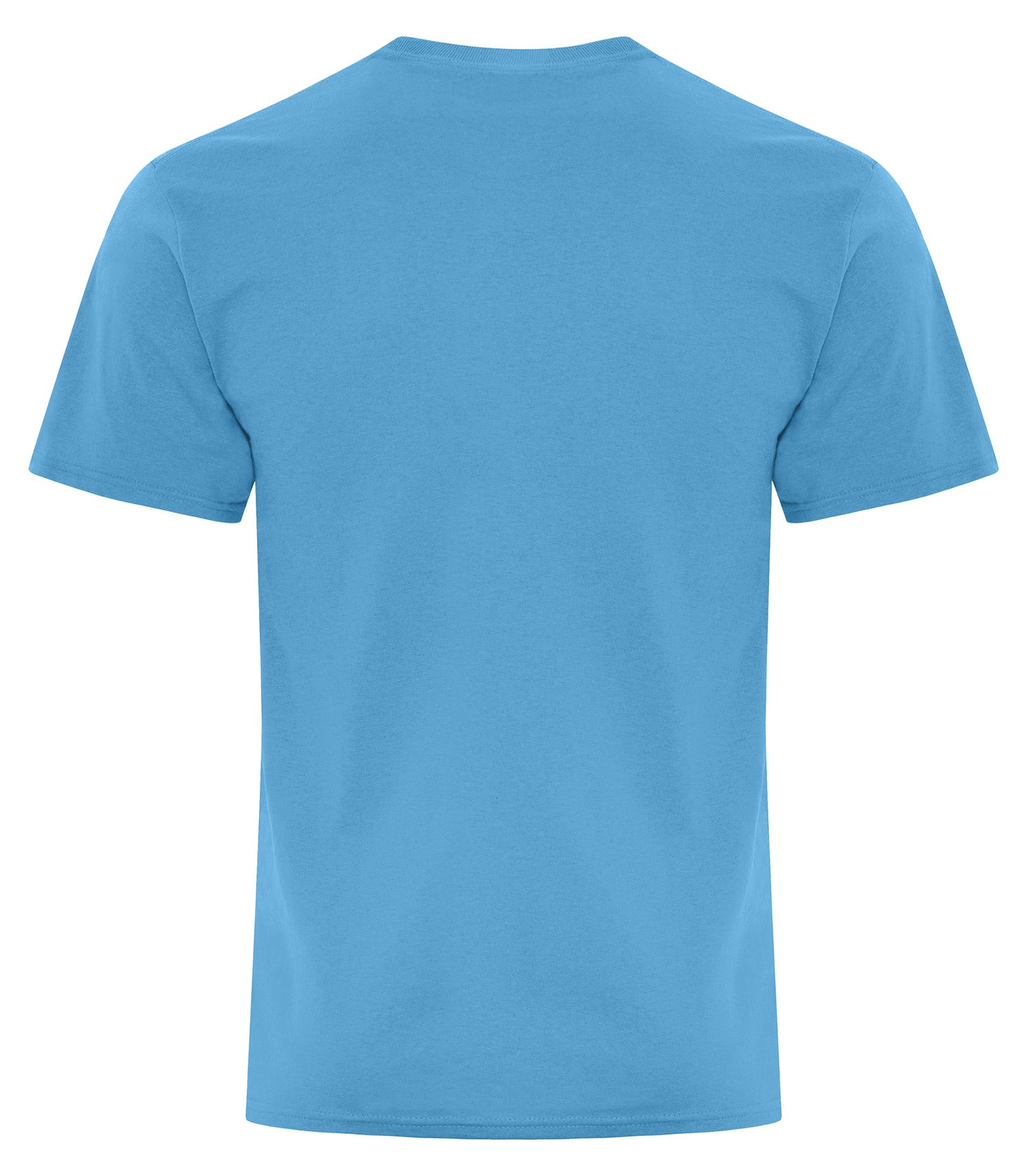 Aquatic Blue-model Image