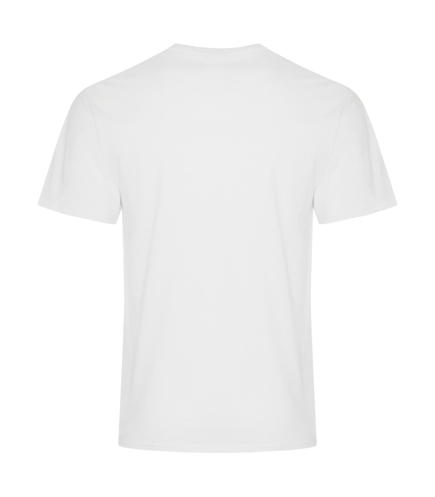 White-model Image