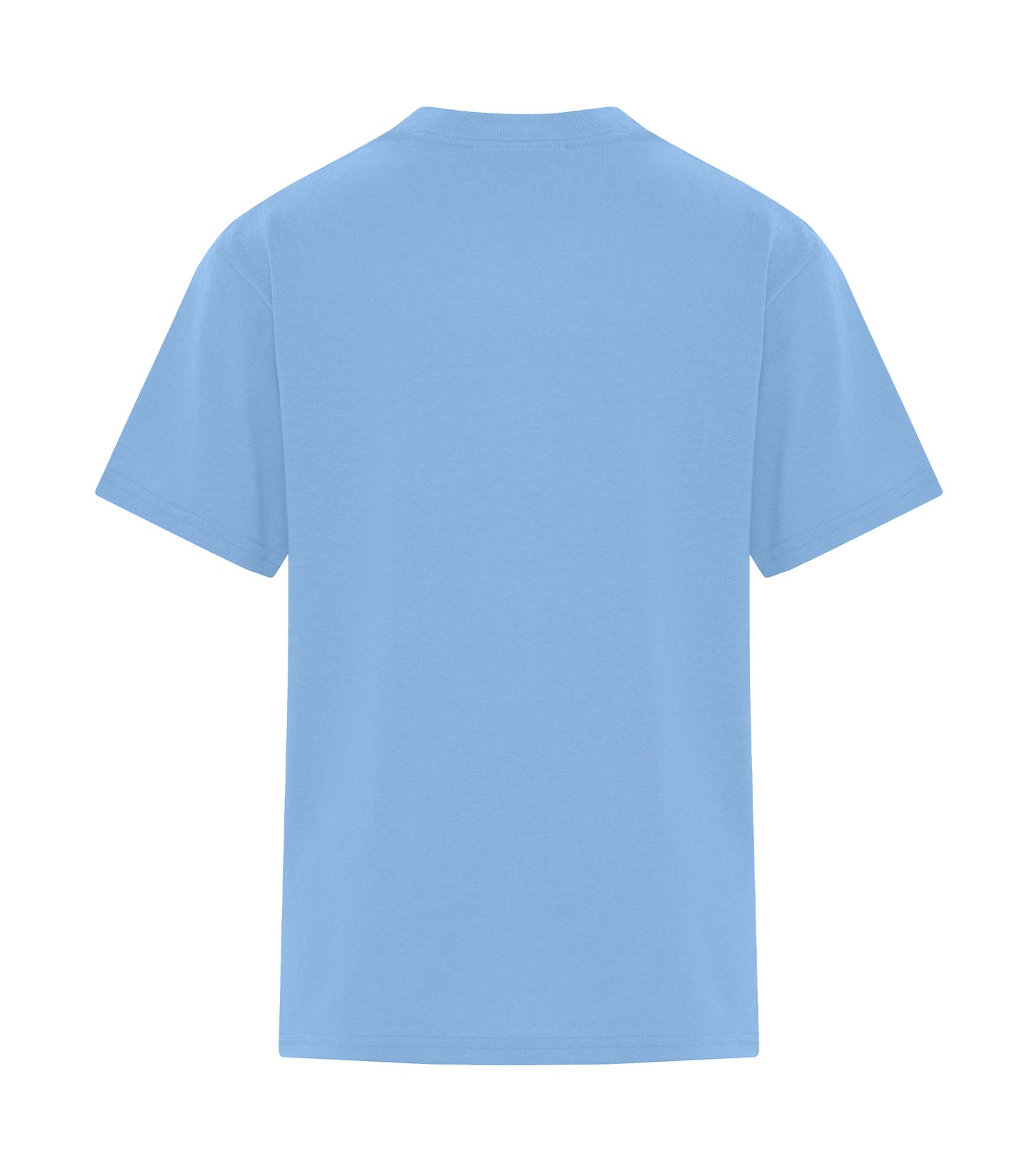 Light Blue-model Image
