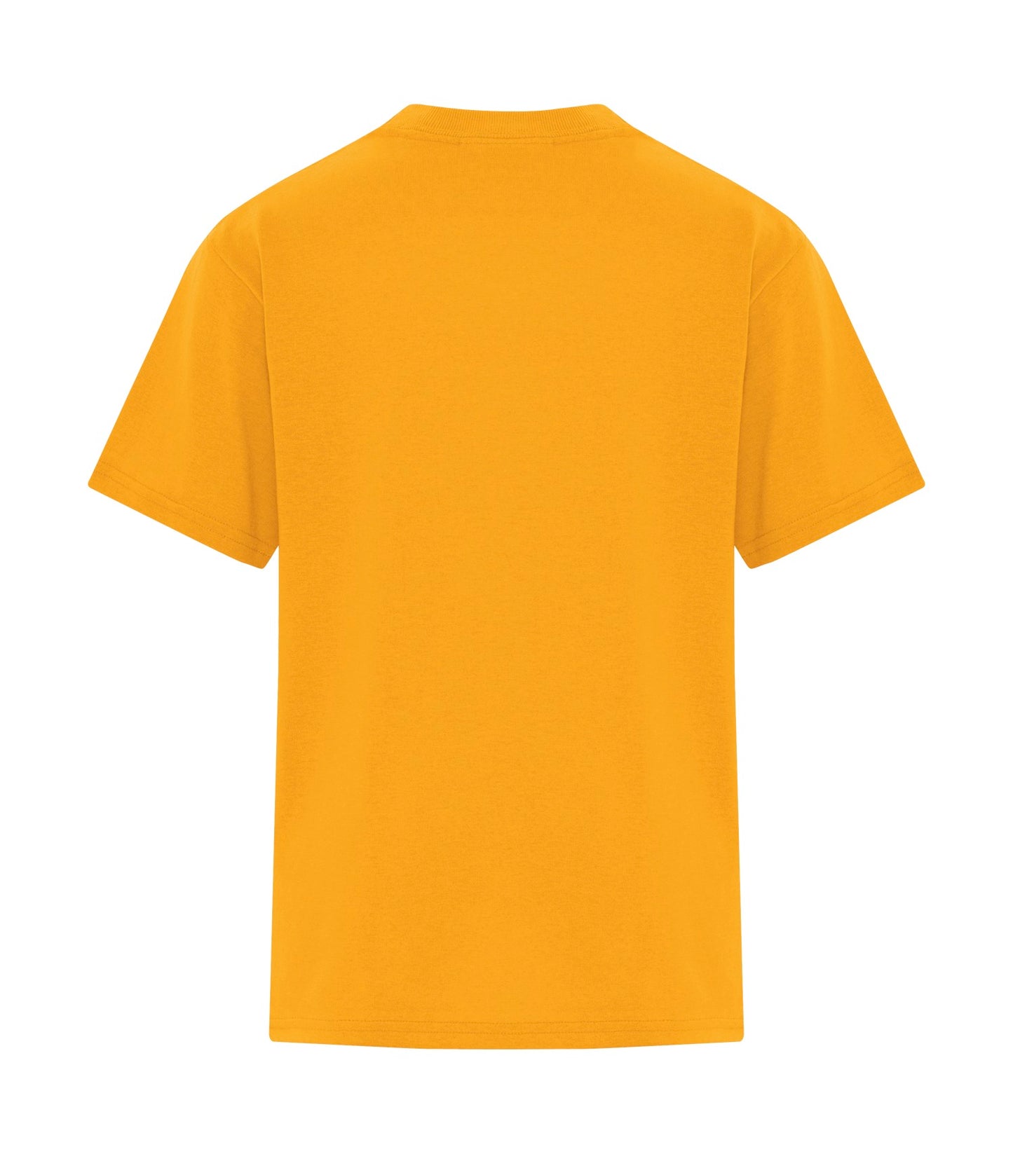 Gold-model Image
