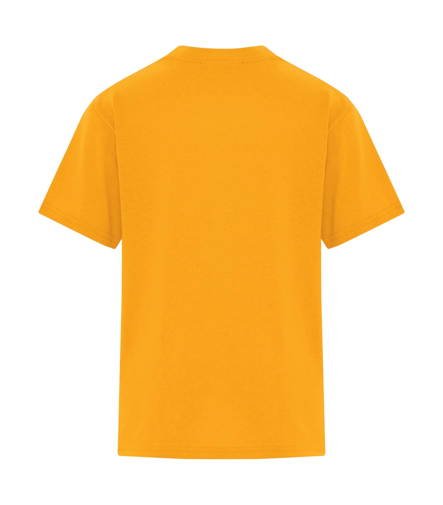 Gold-model Image