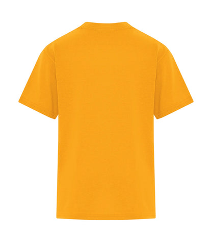 Gold-model Image