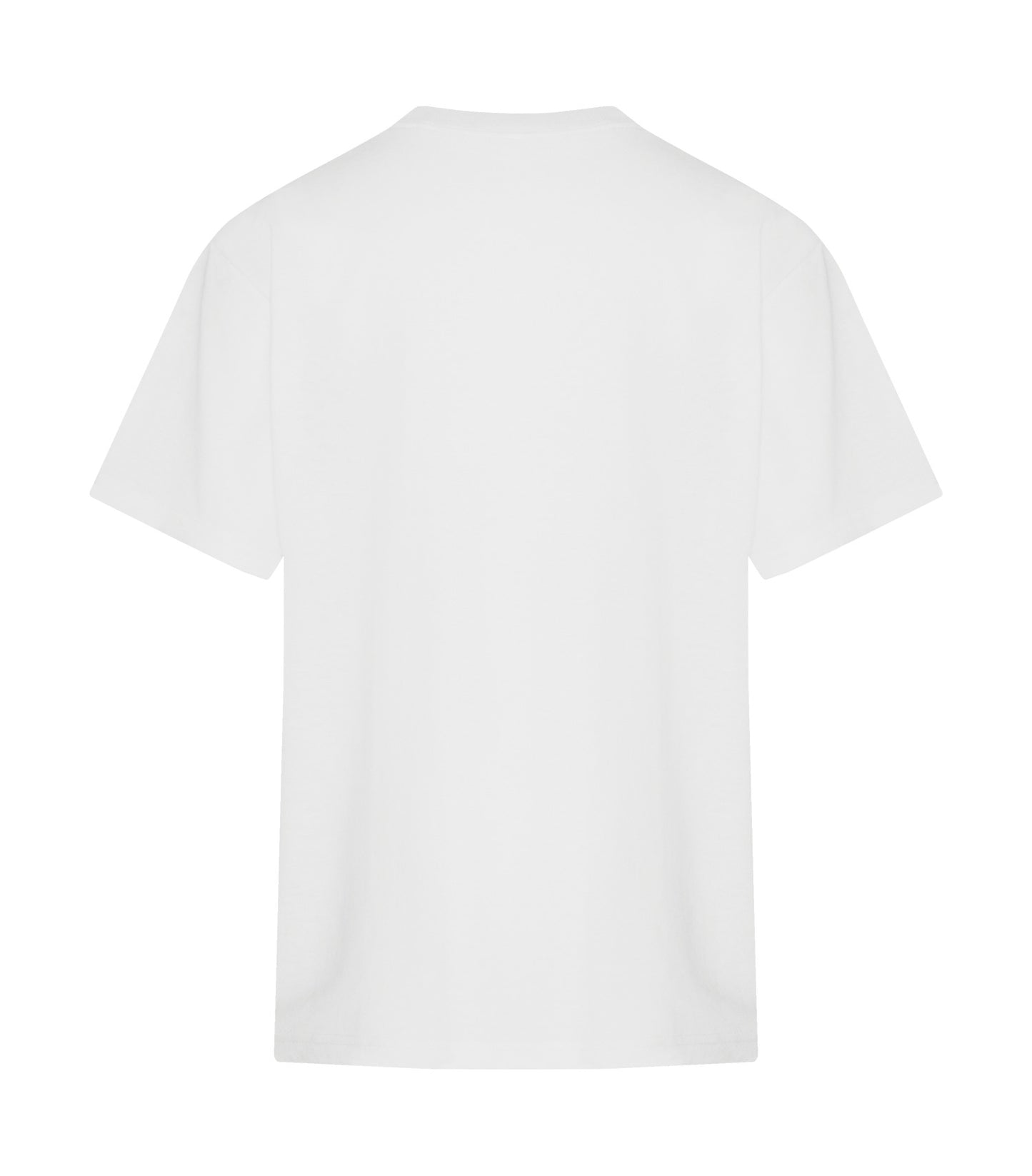 White-model Image