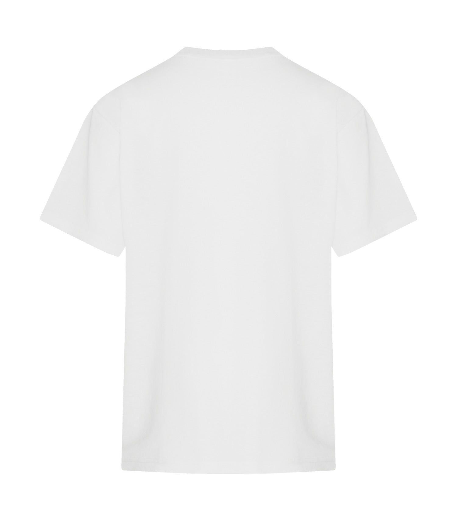 White-model Image