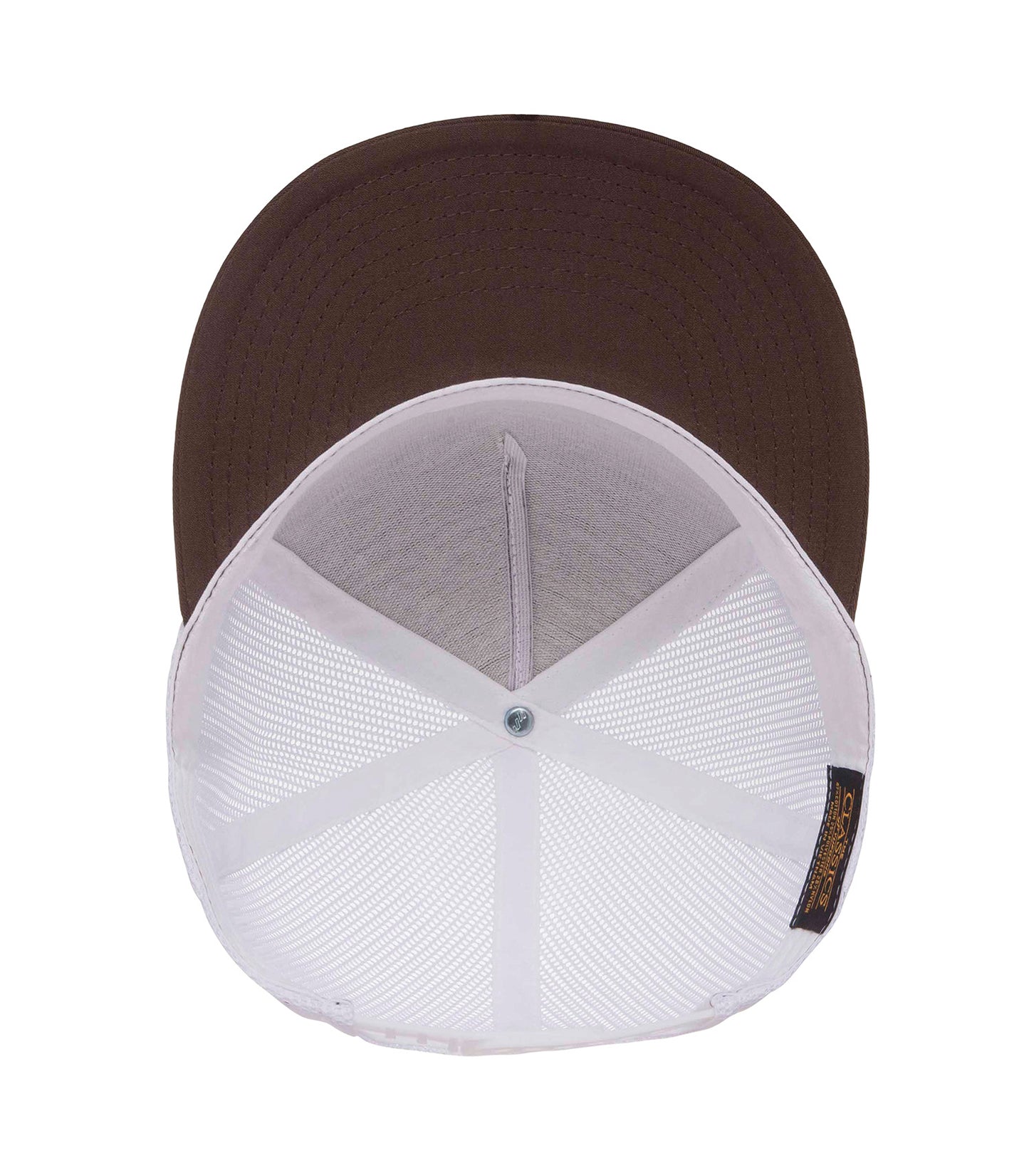 Brown/White-model Image