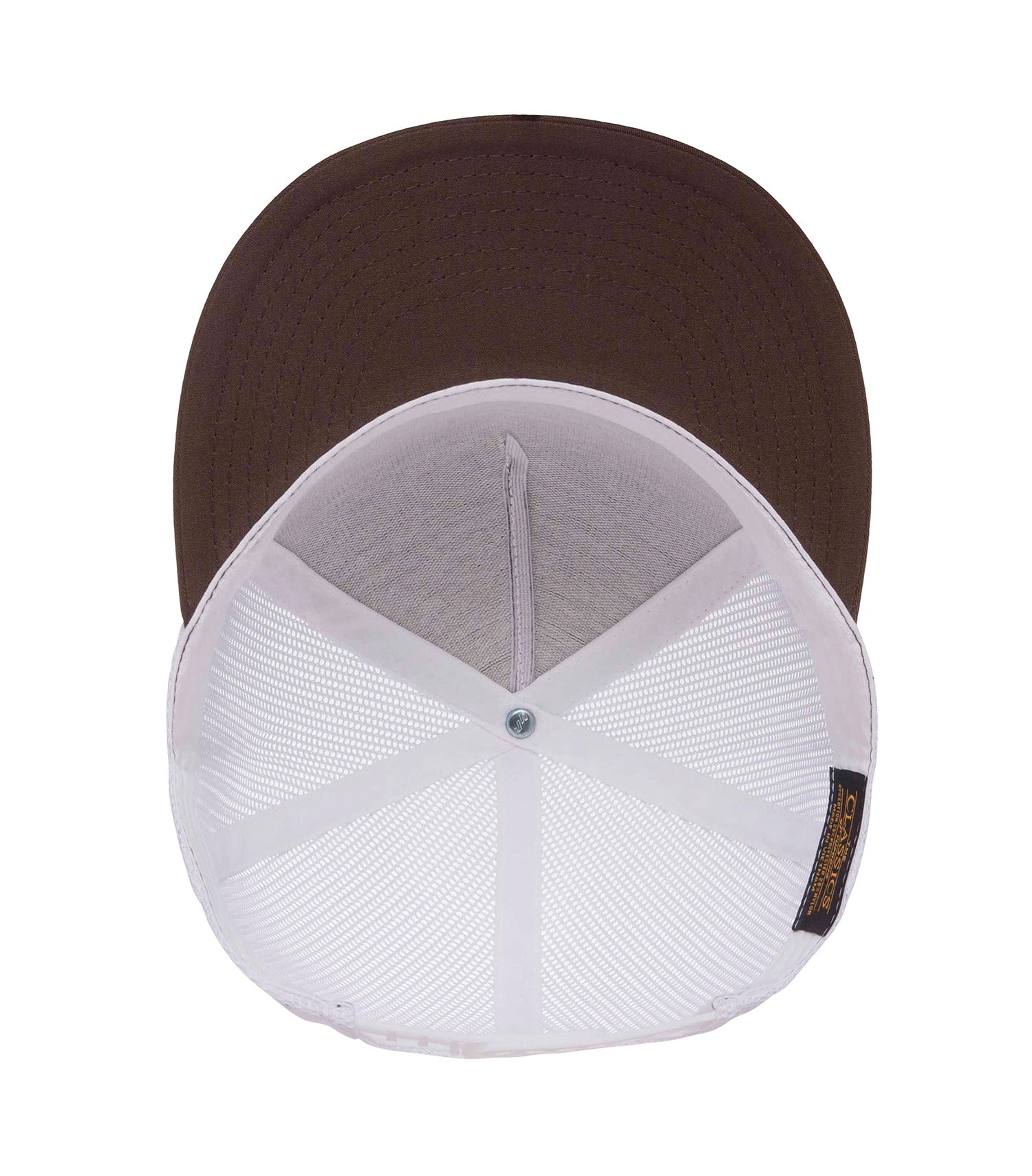 Brown/White-model Image