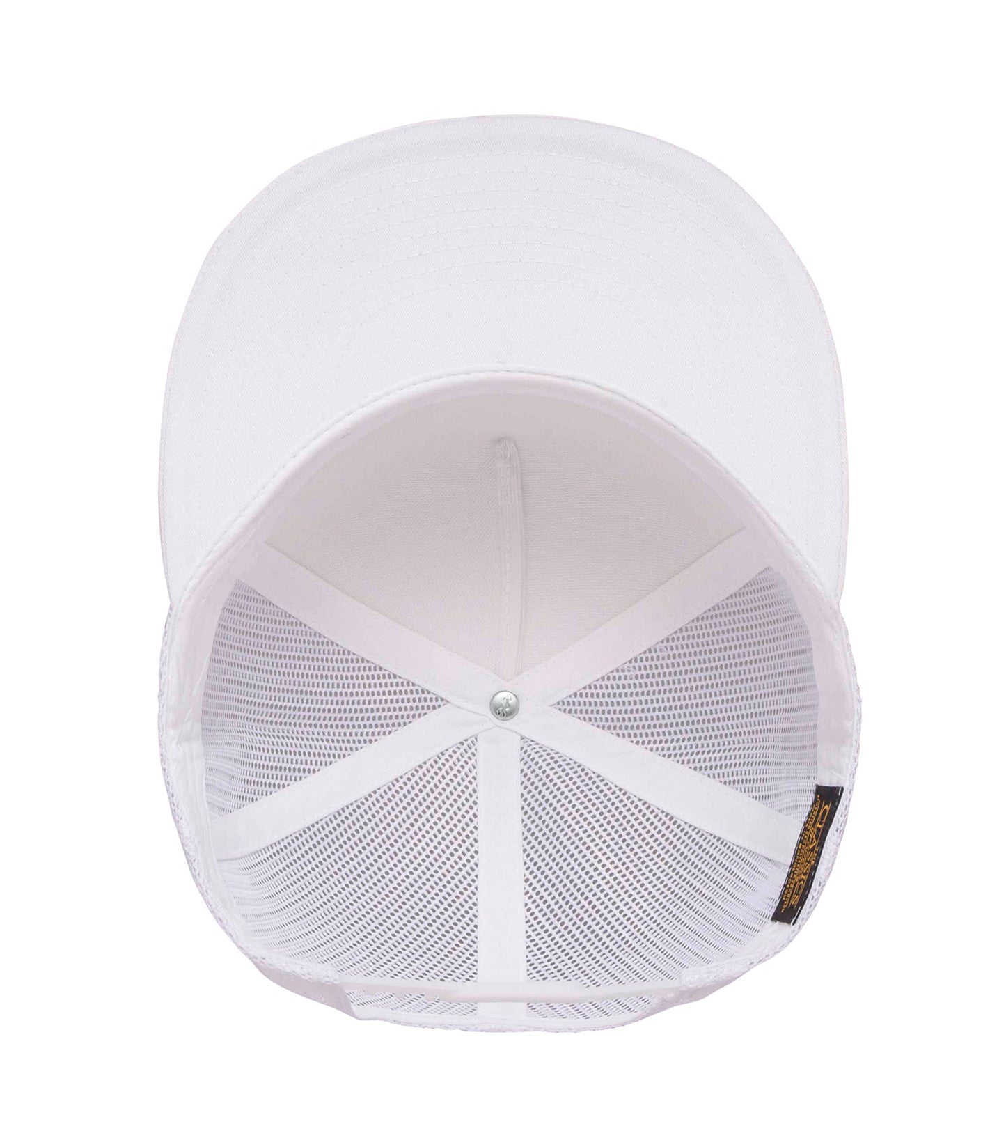 White/White-model Image