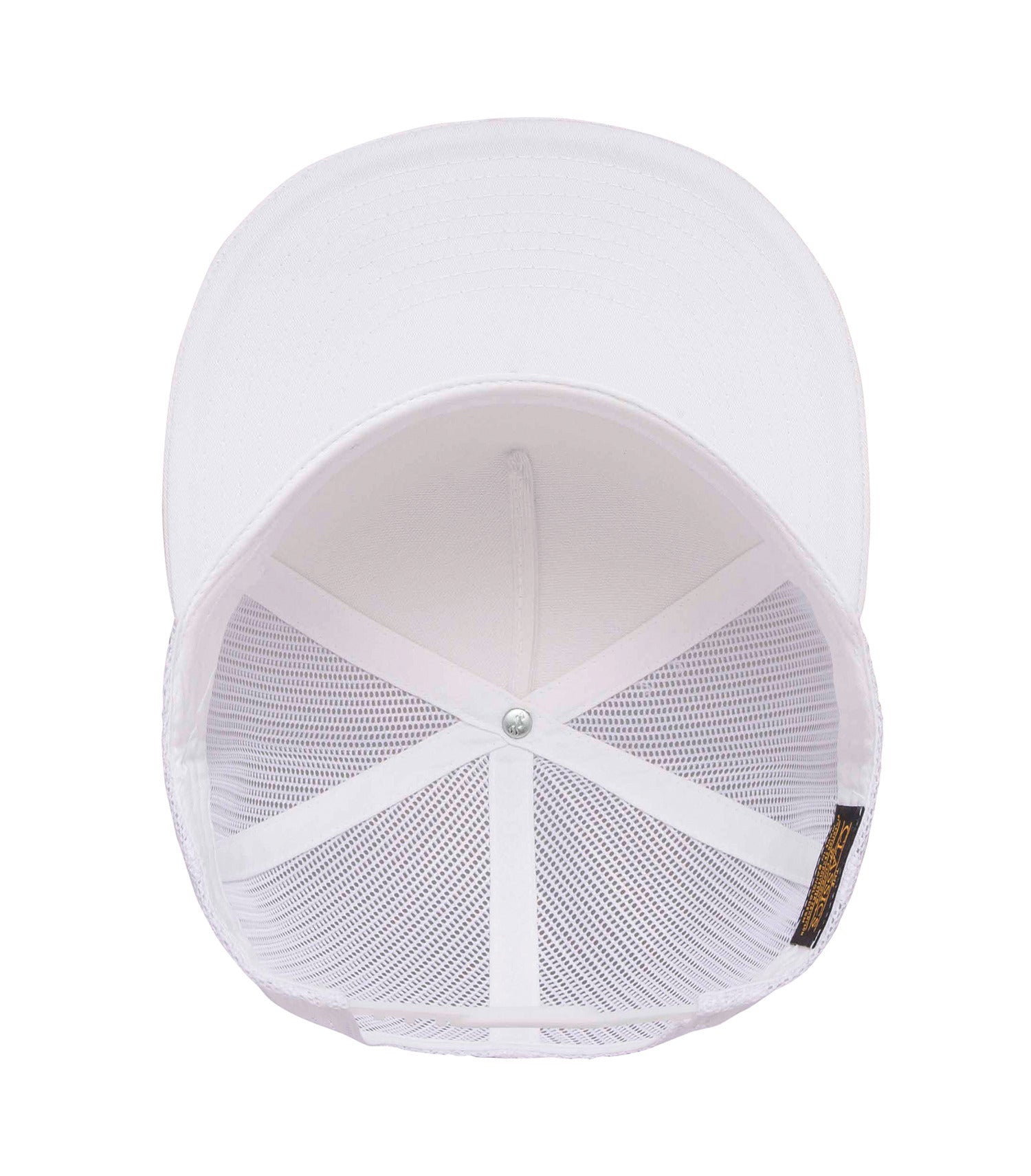 White/White-model Image