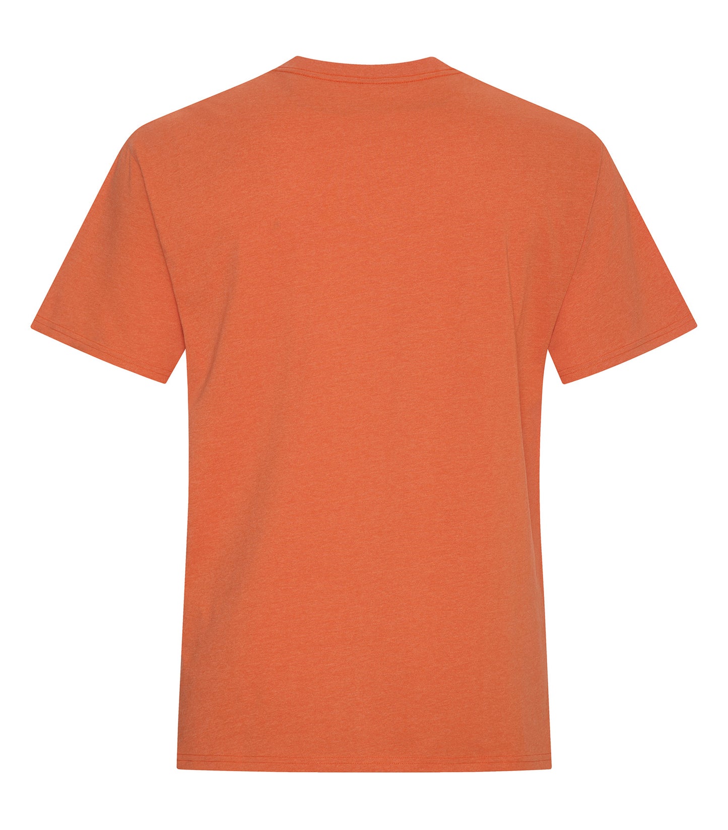 Orange-model Image