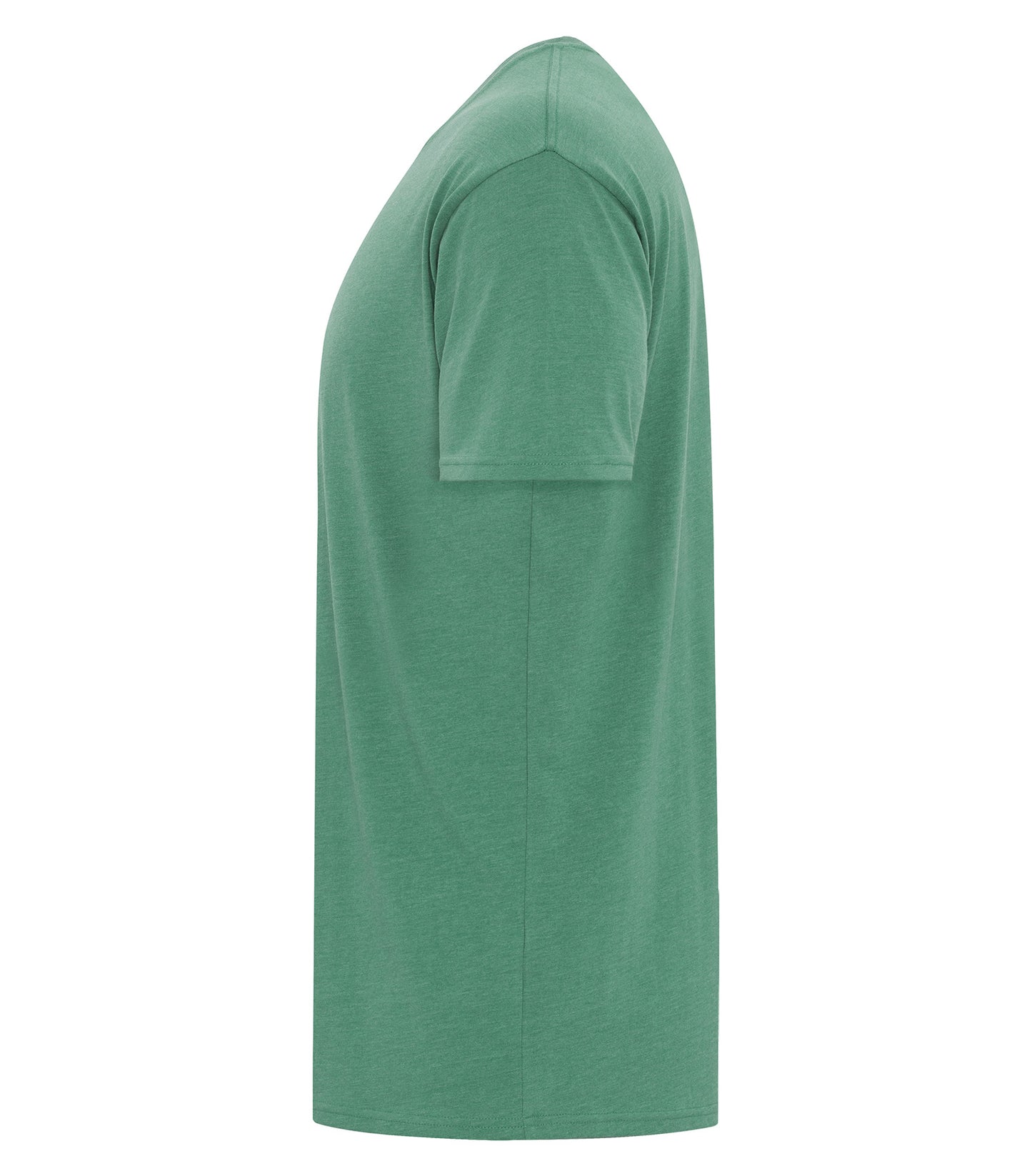 Cypress-model Image