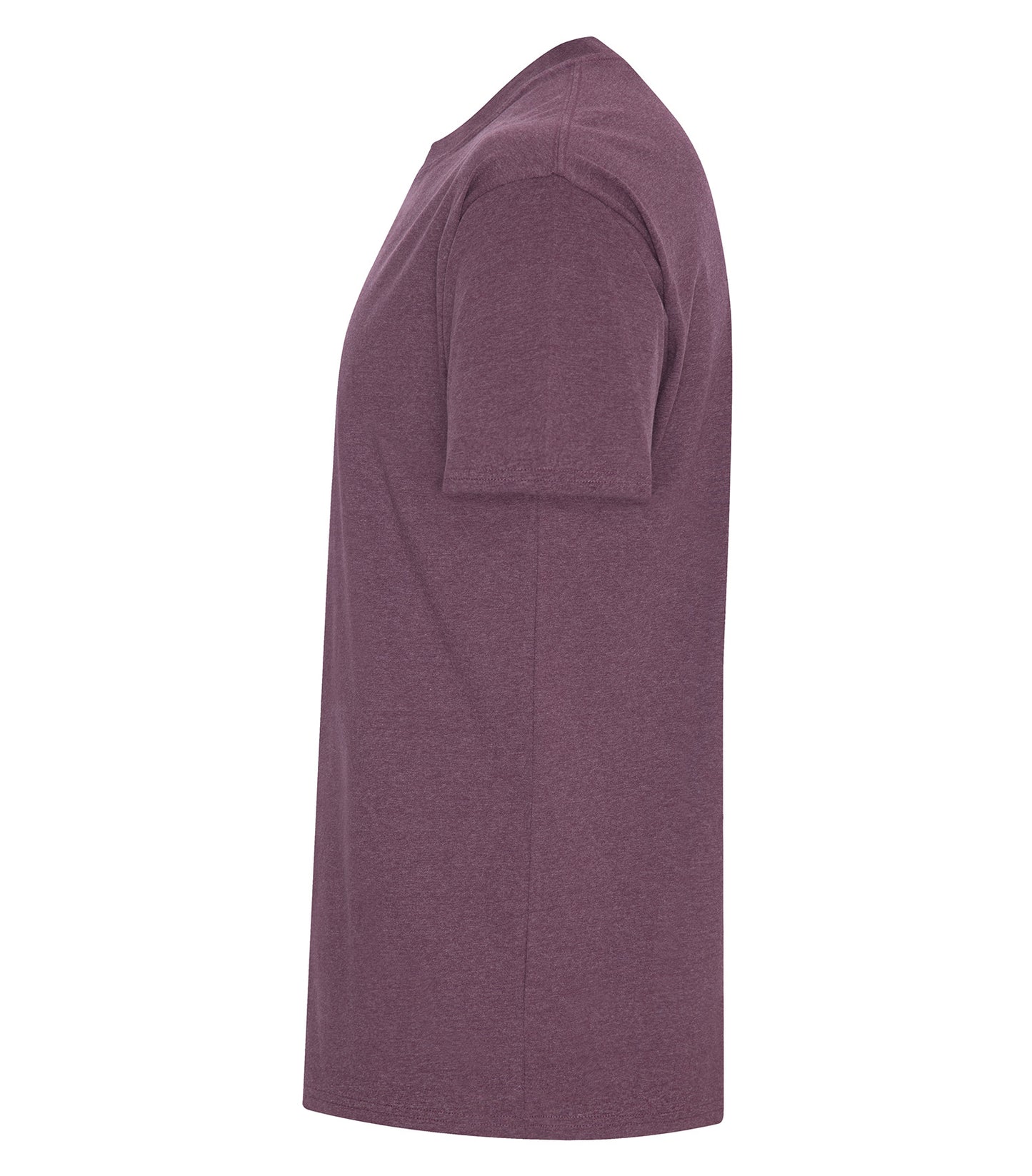 Eggplant-model Image