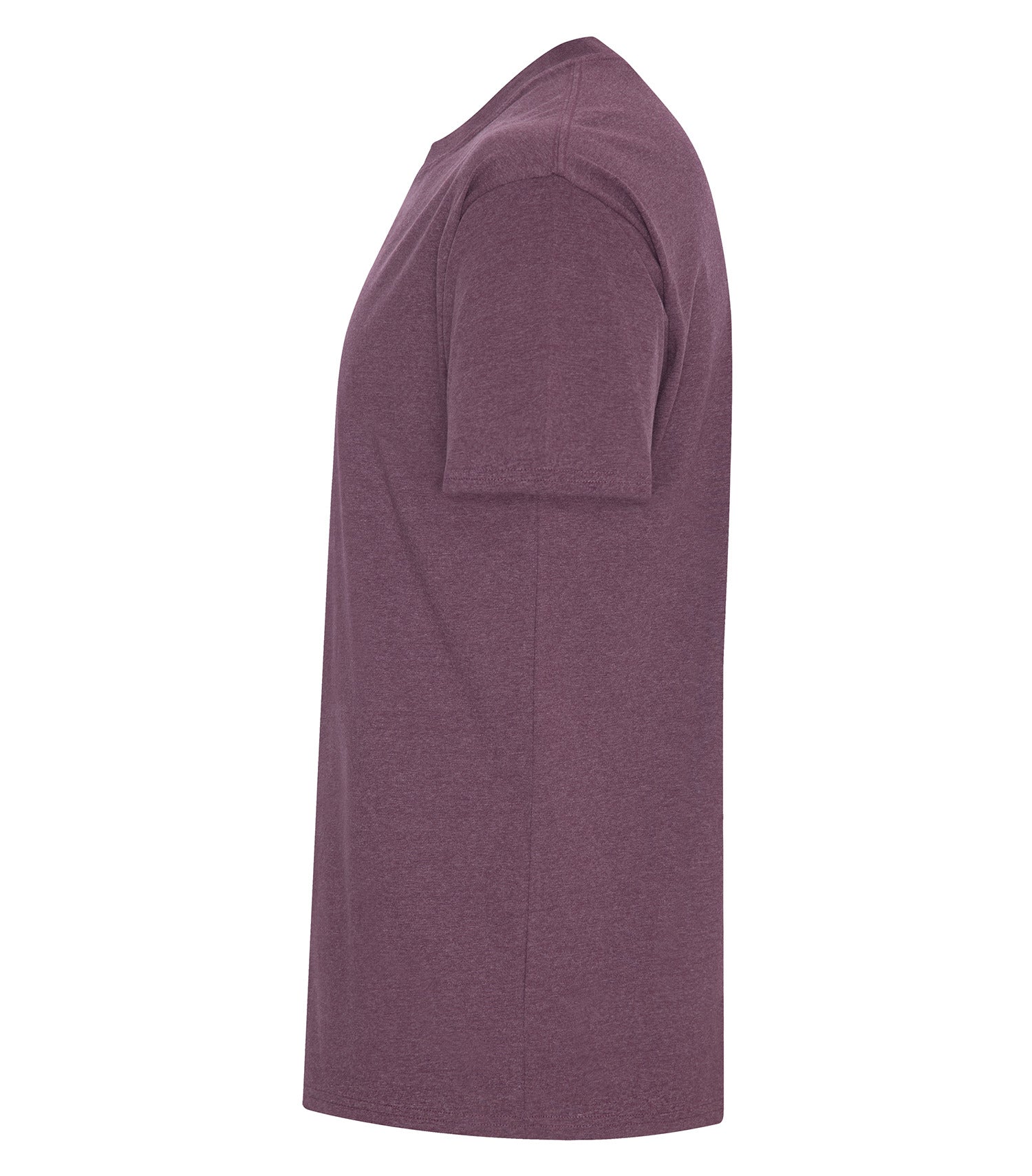 Eggplant-model Image