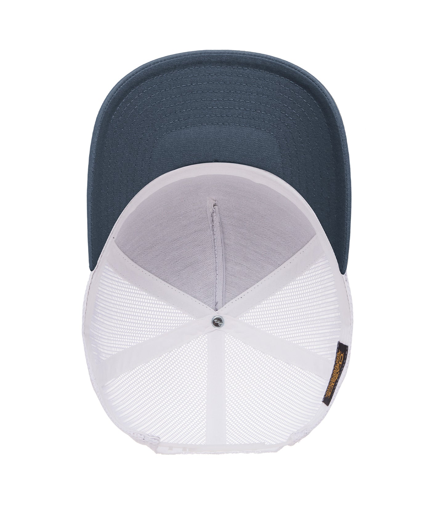 Navy/White-model Image