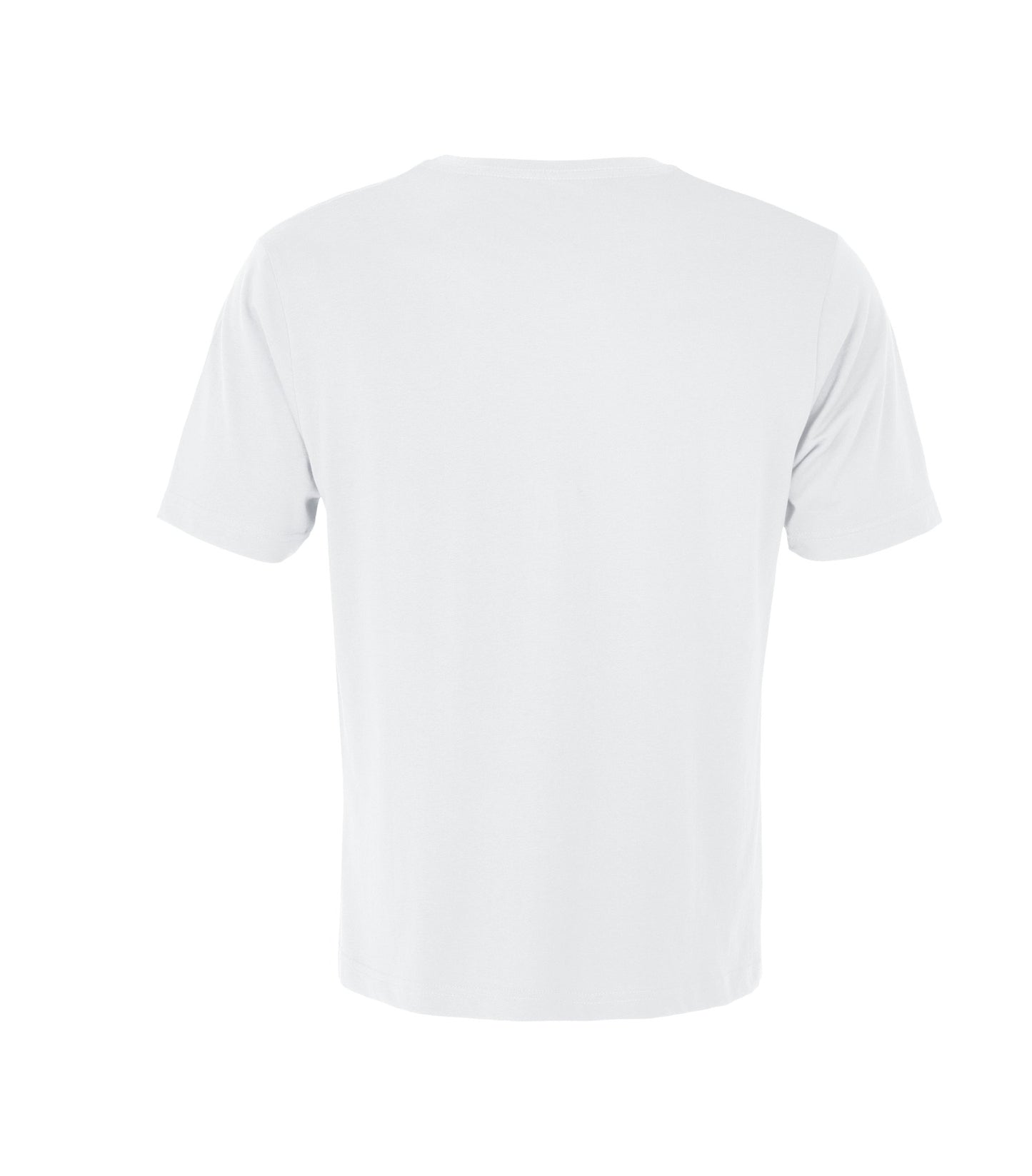 White-model Image