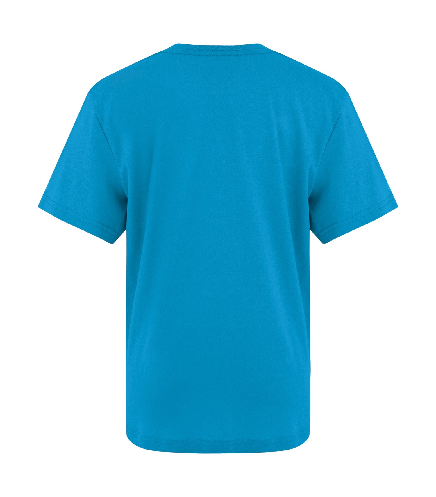 Sapphire-model Image