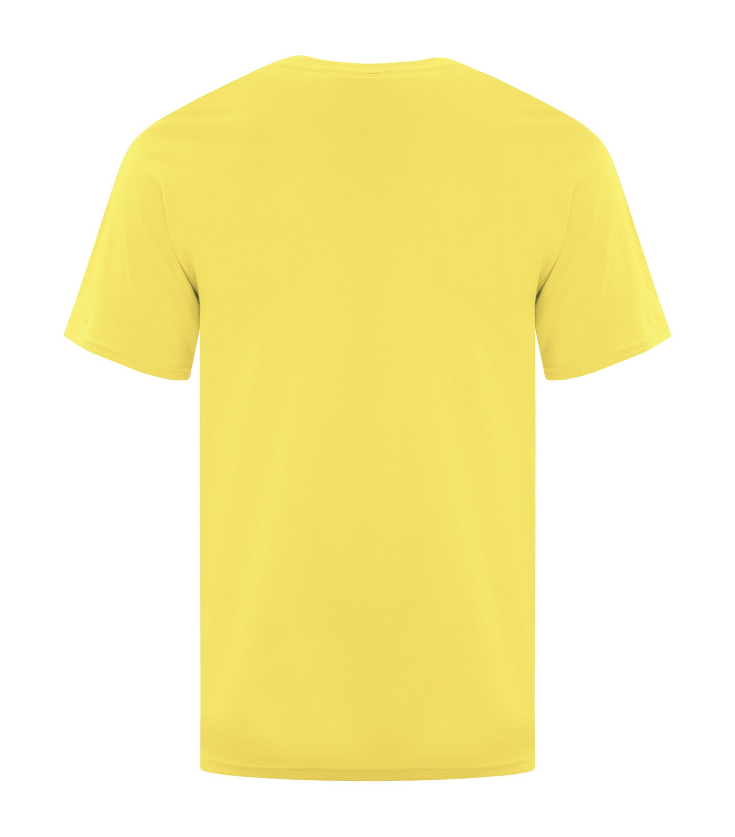 Yellow-model Image