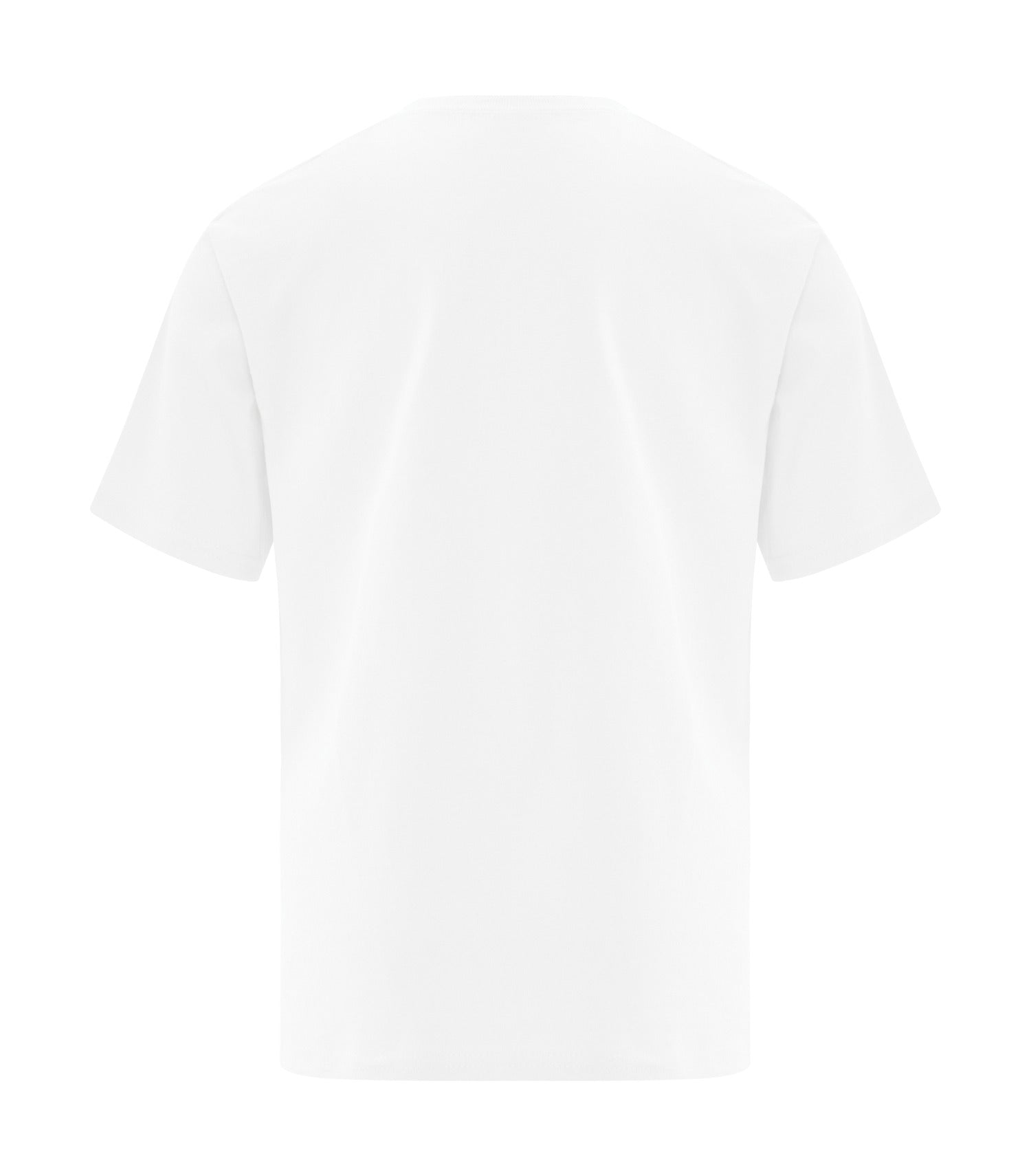 White-model Image