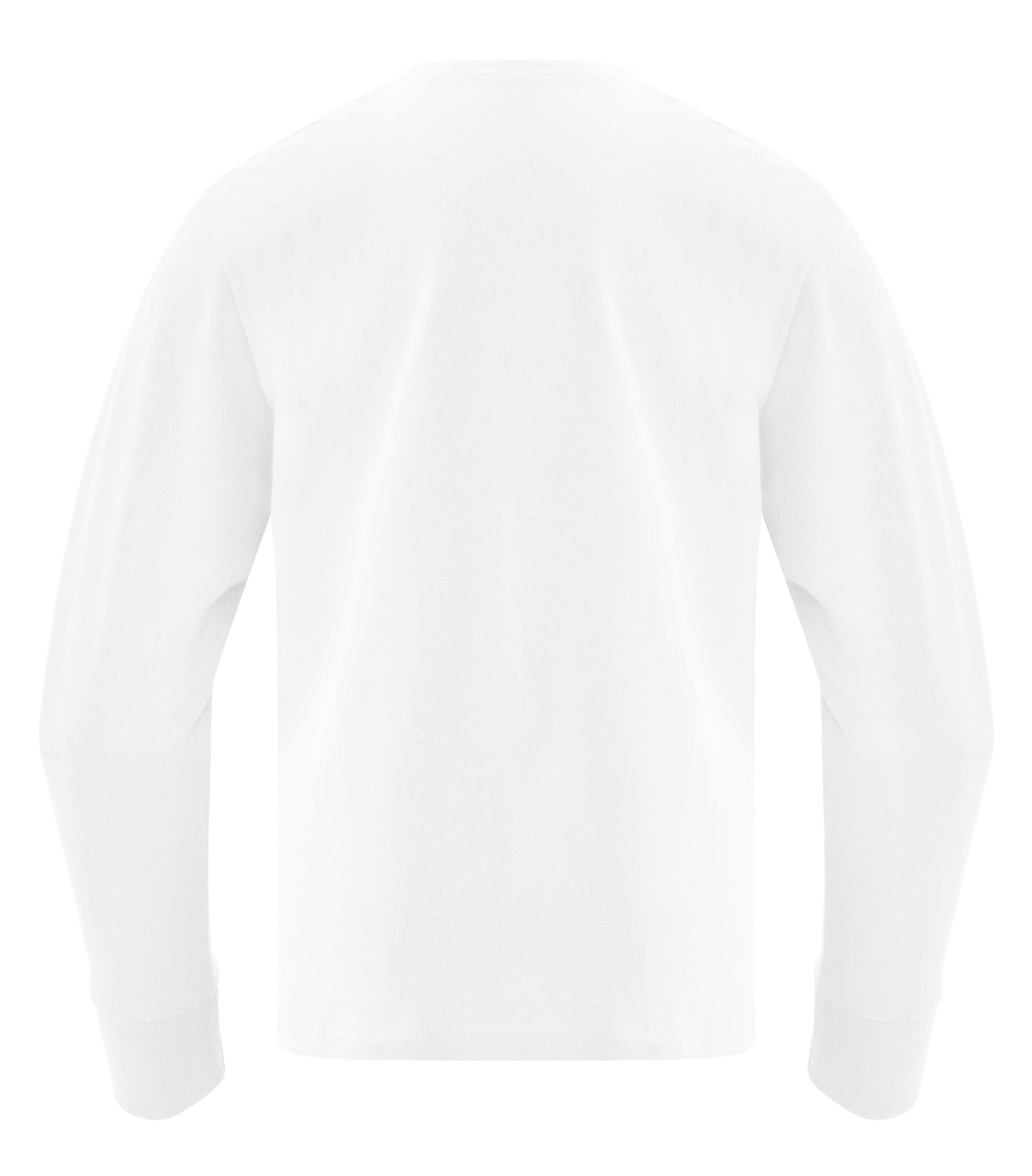 White-model Image