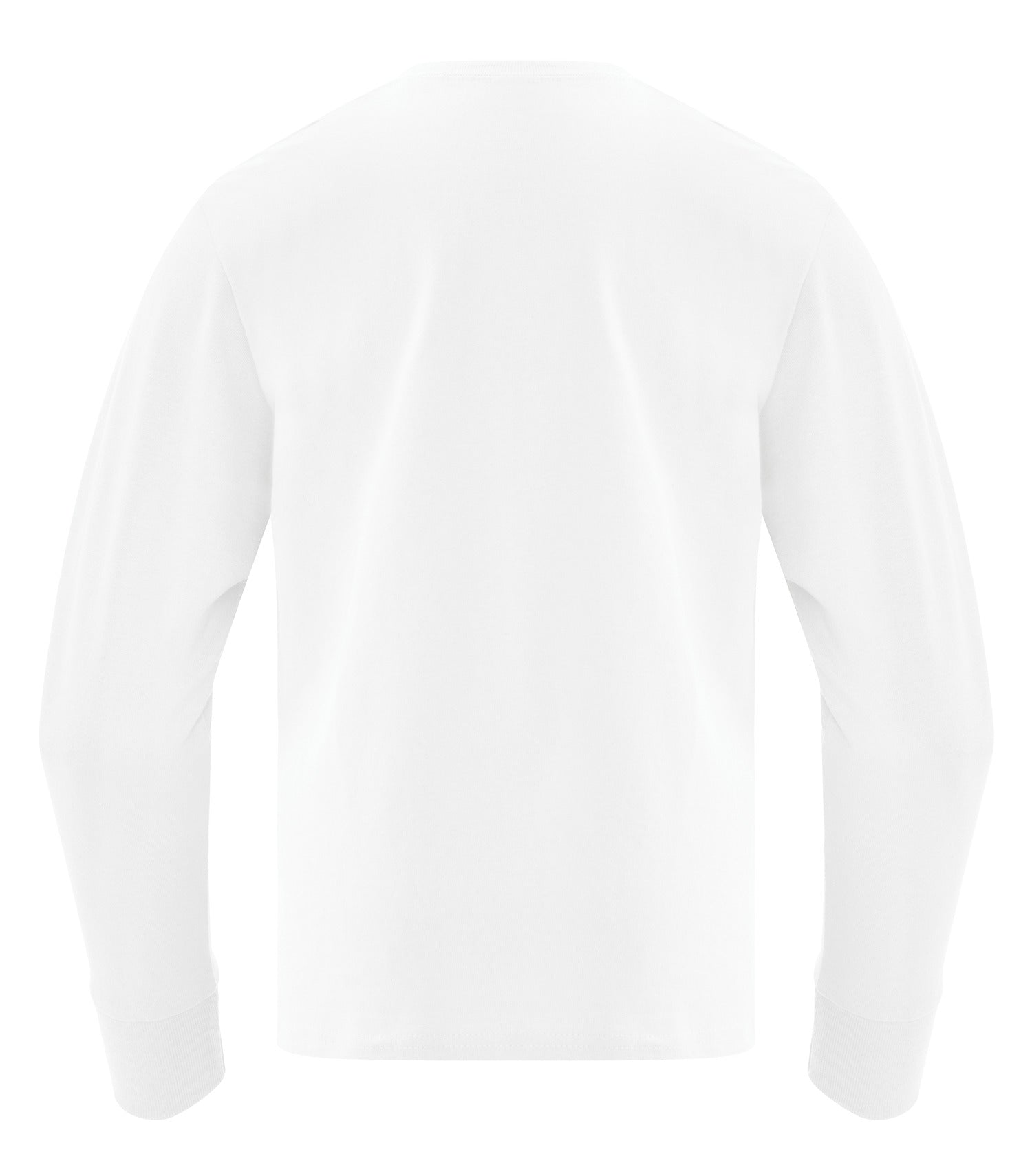 White-model Image