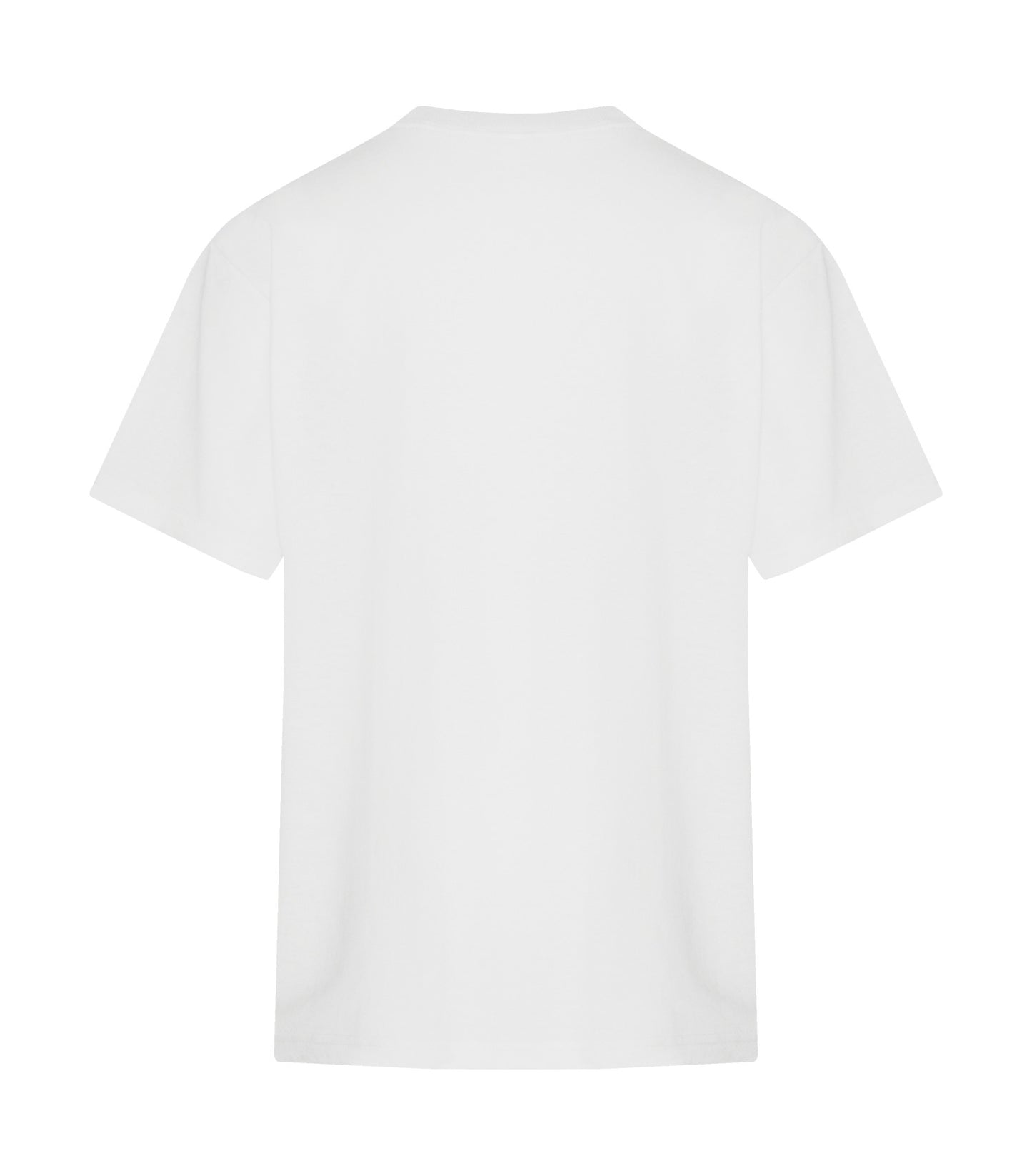 White-model Image