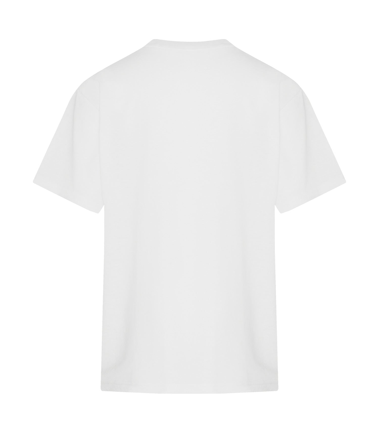 White-model Image