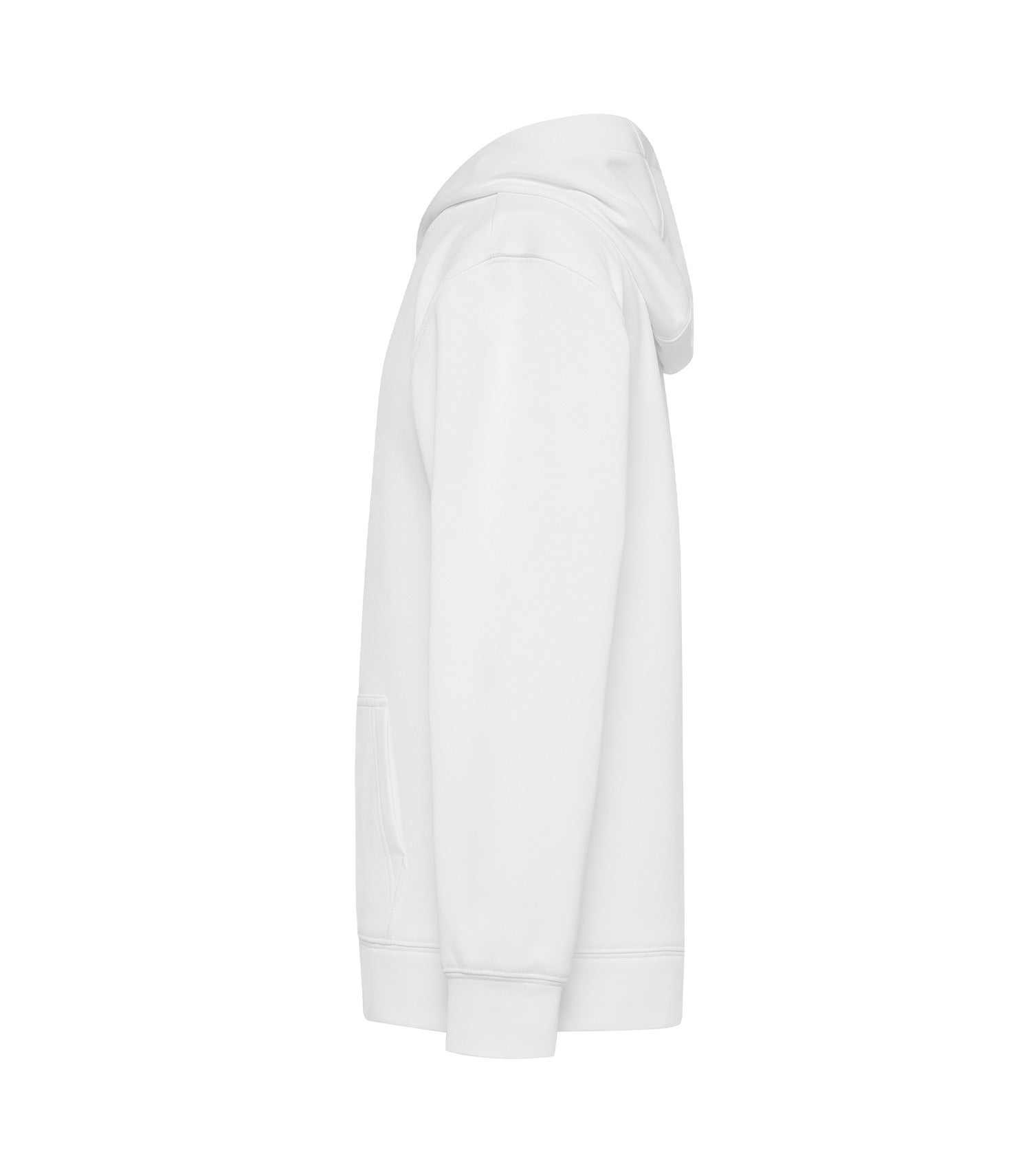 White-model Image