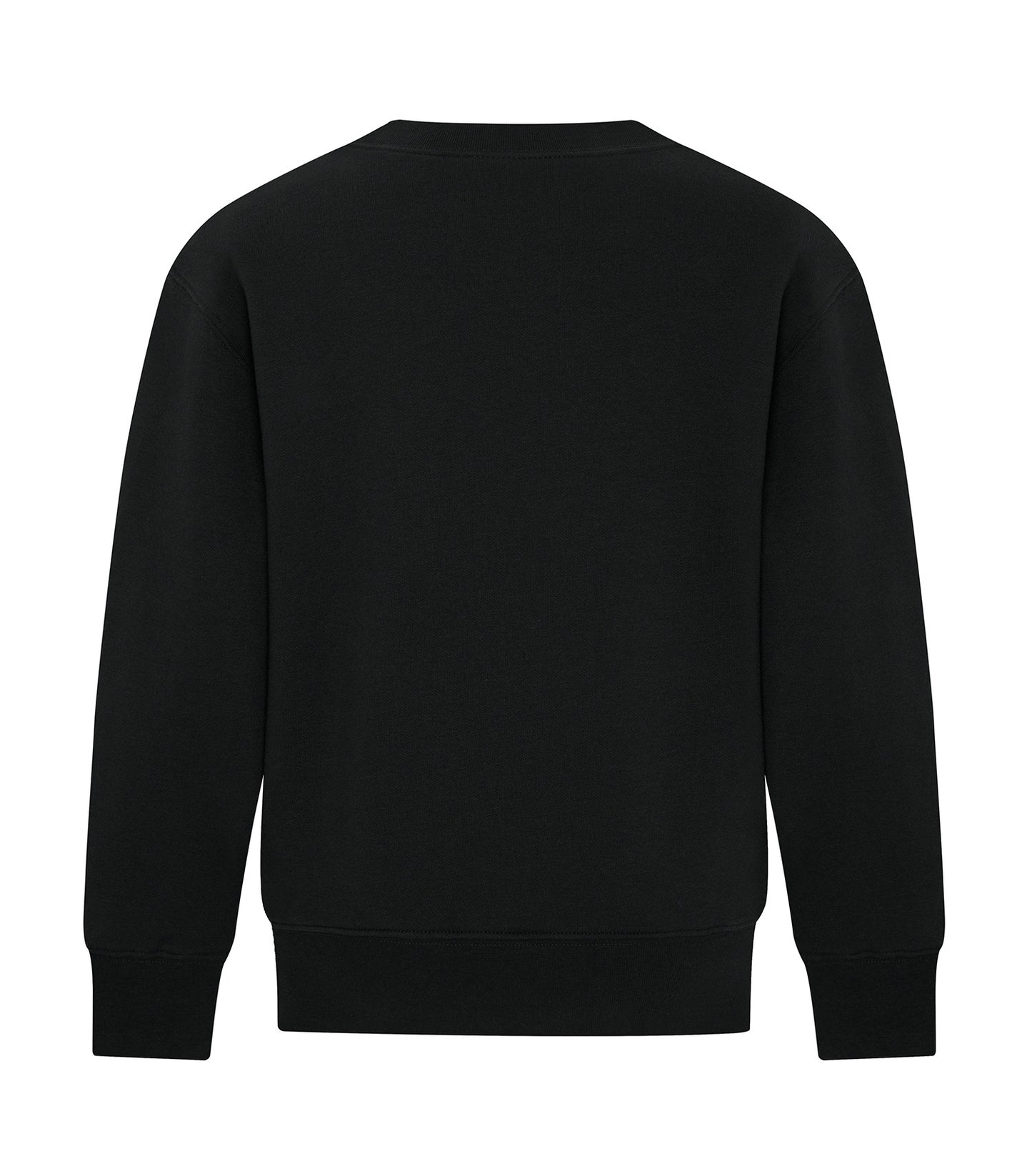 Black-model Image