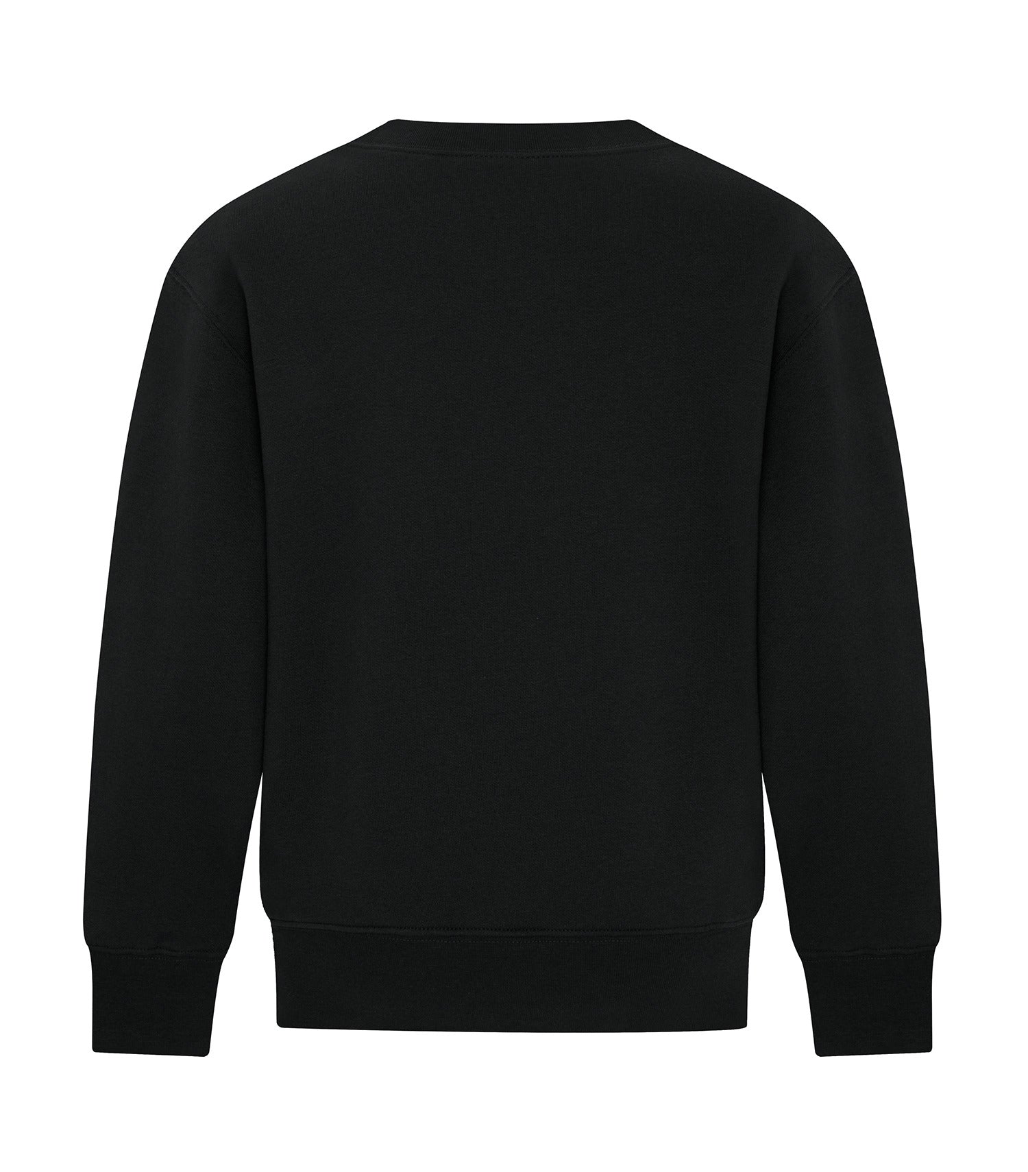 Black-model Image