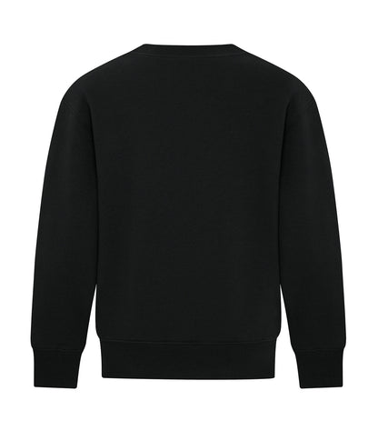 Black-model Image