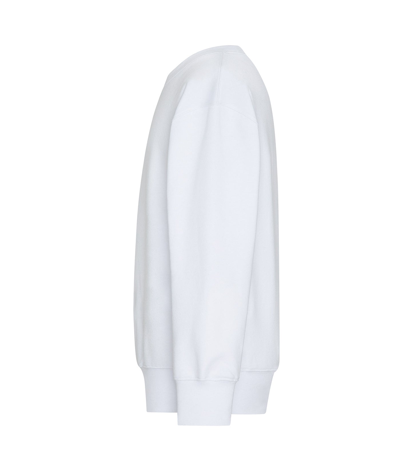 White-model Image