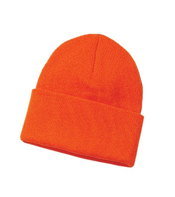 Orange-model Image