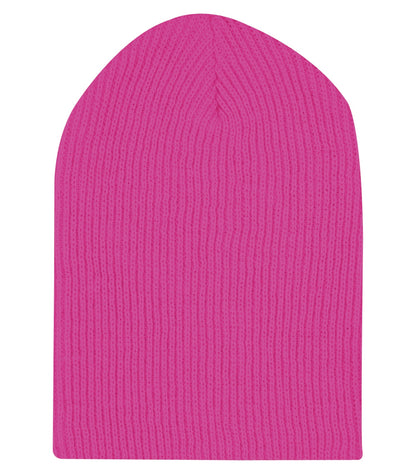 Raspberry-model Image