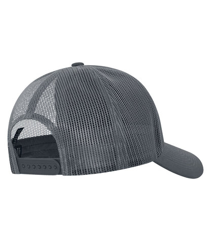 CoalGrey/Coal-model Image