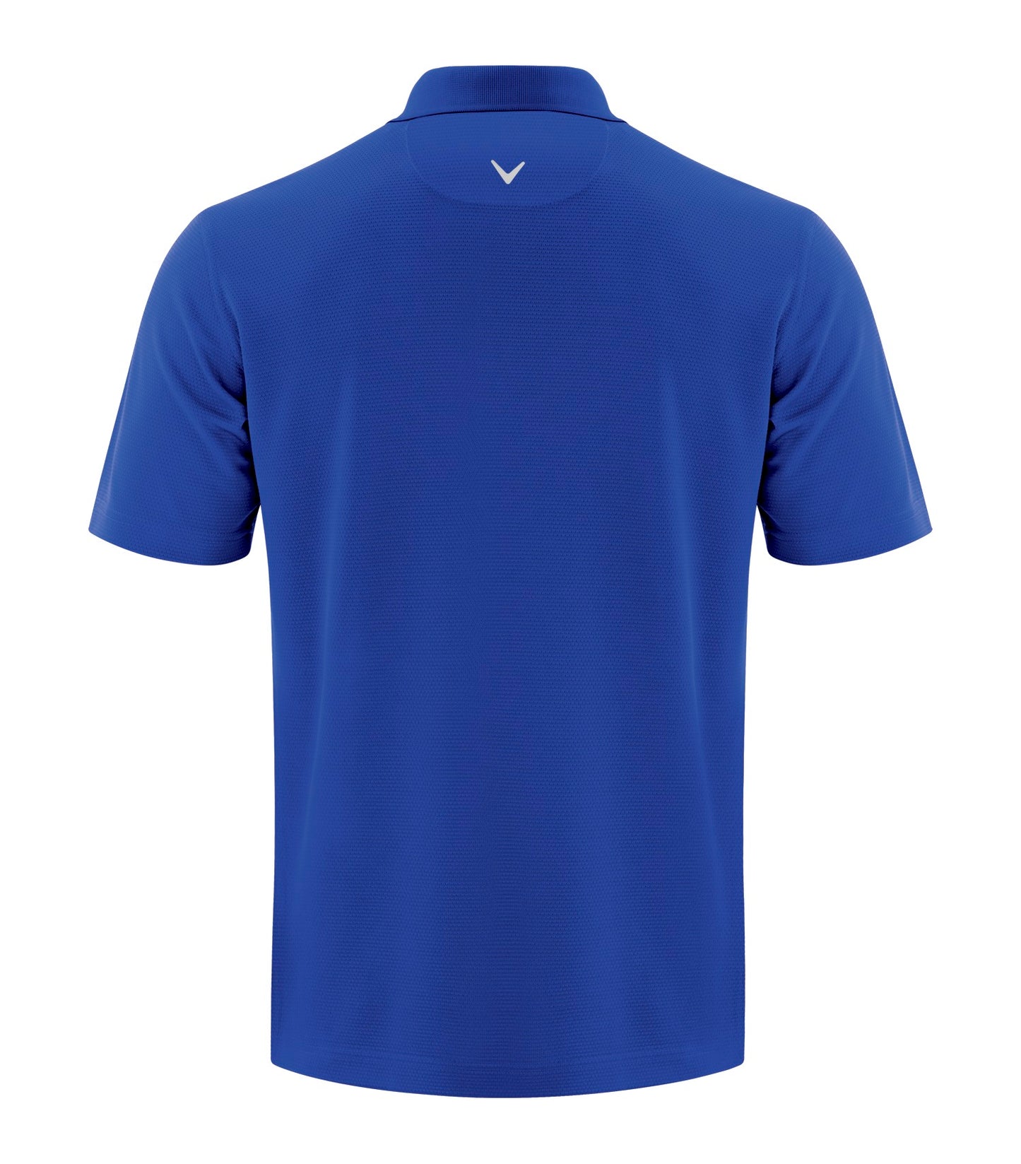 Surf the Web-model Image