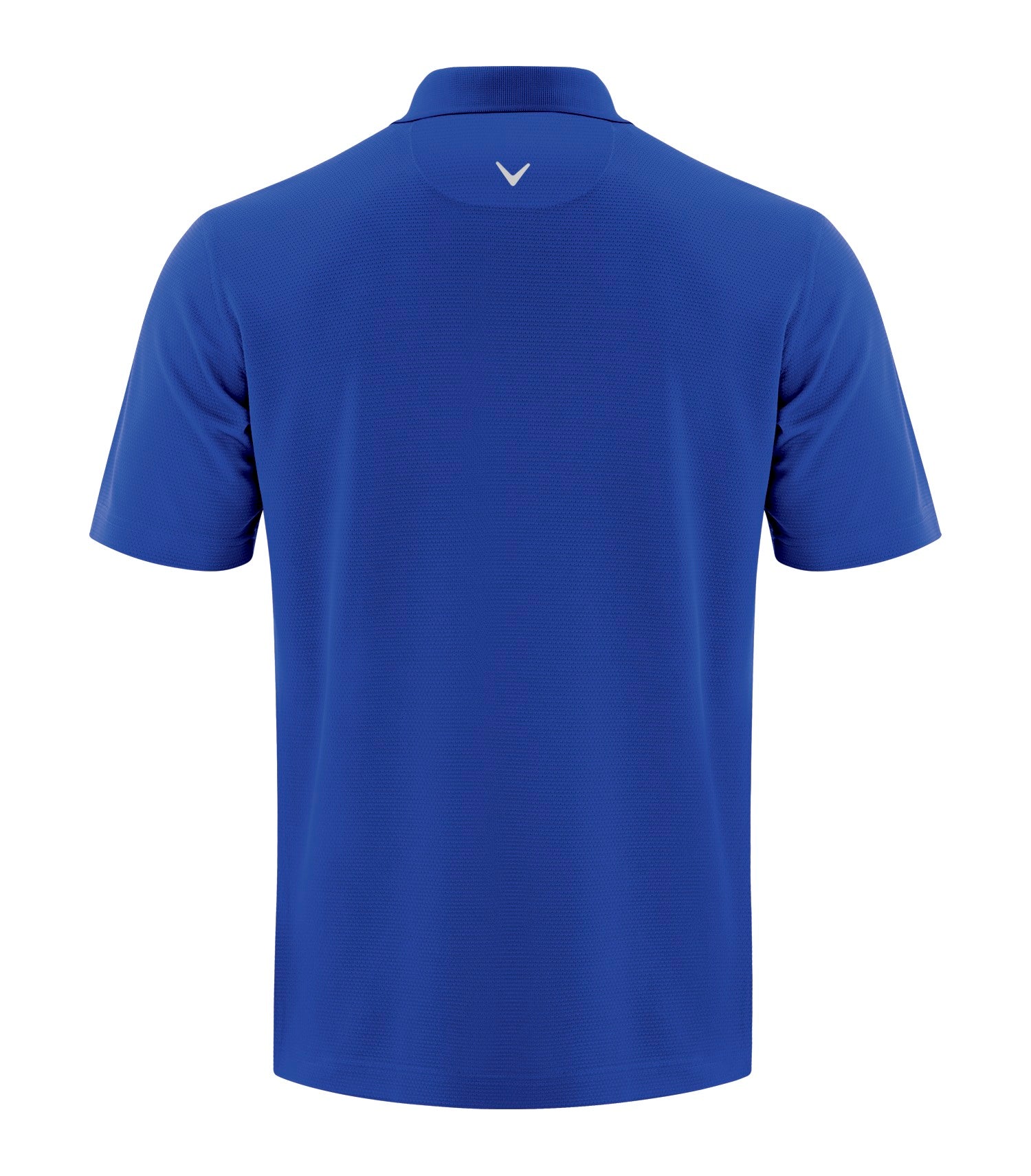 Surf the Web-model Image