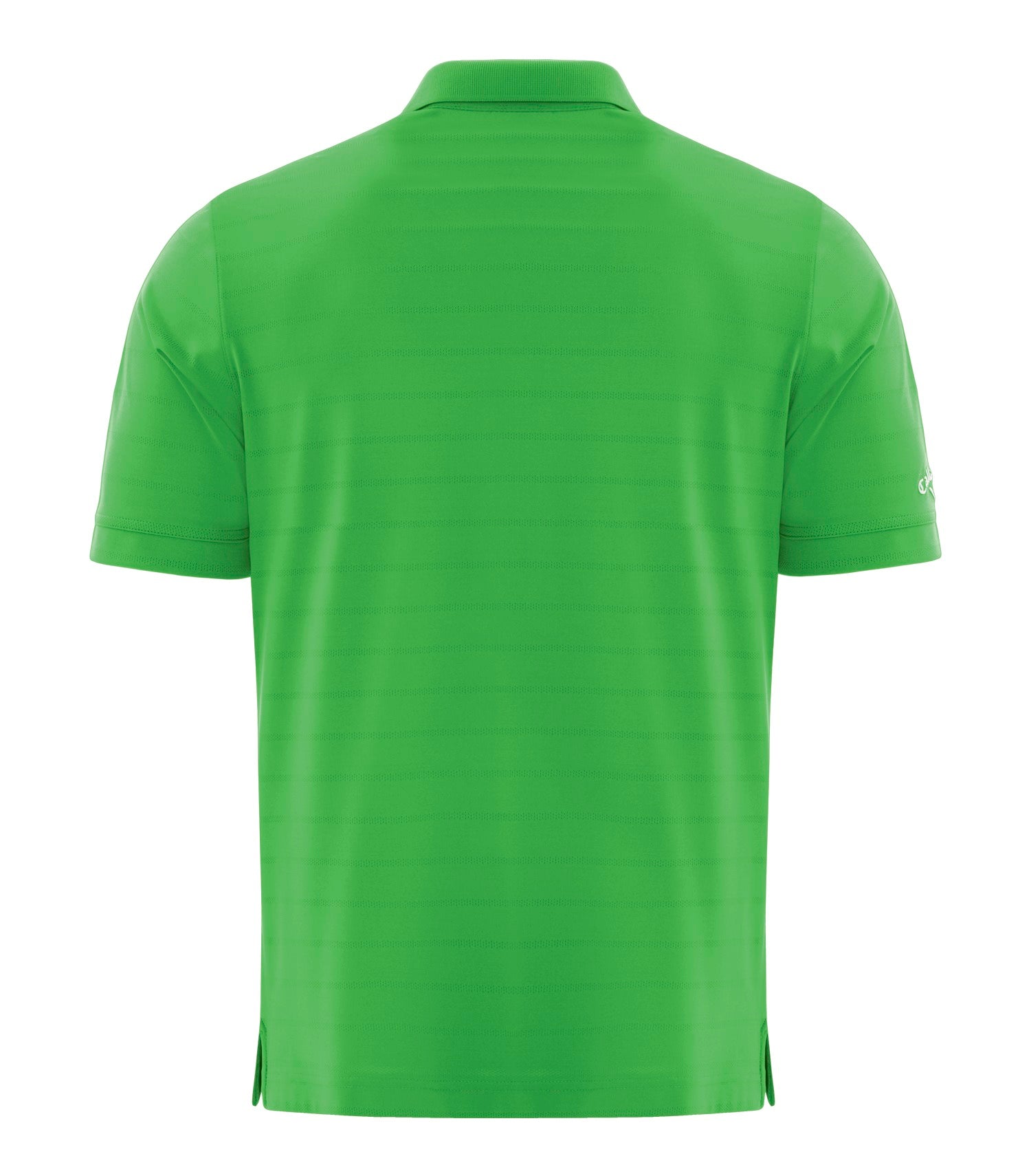 Vibrant Green-model Image