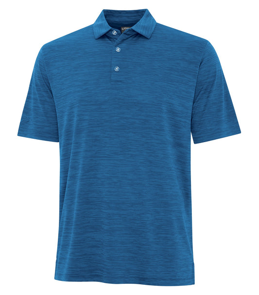Blueberry-model Image