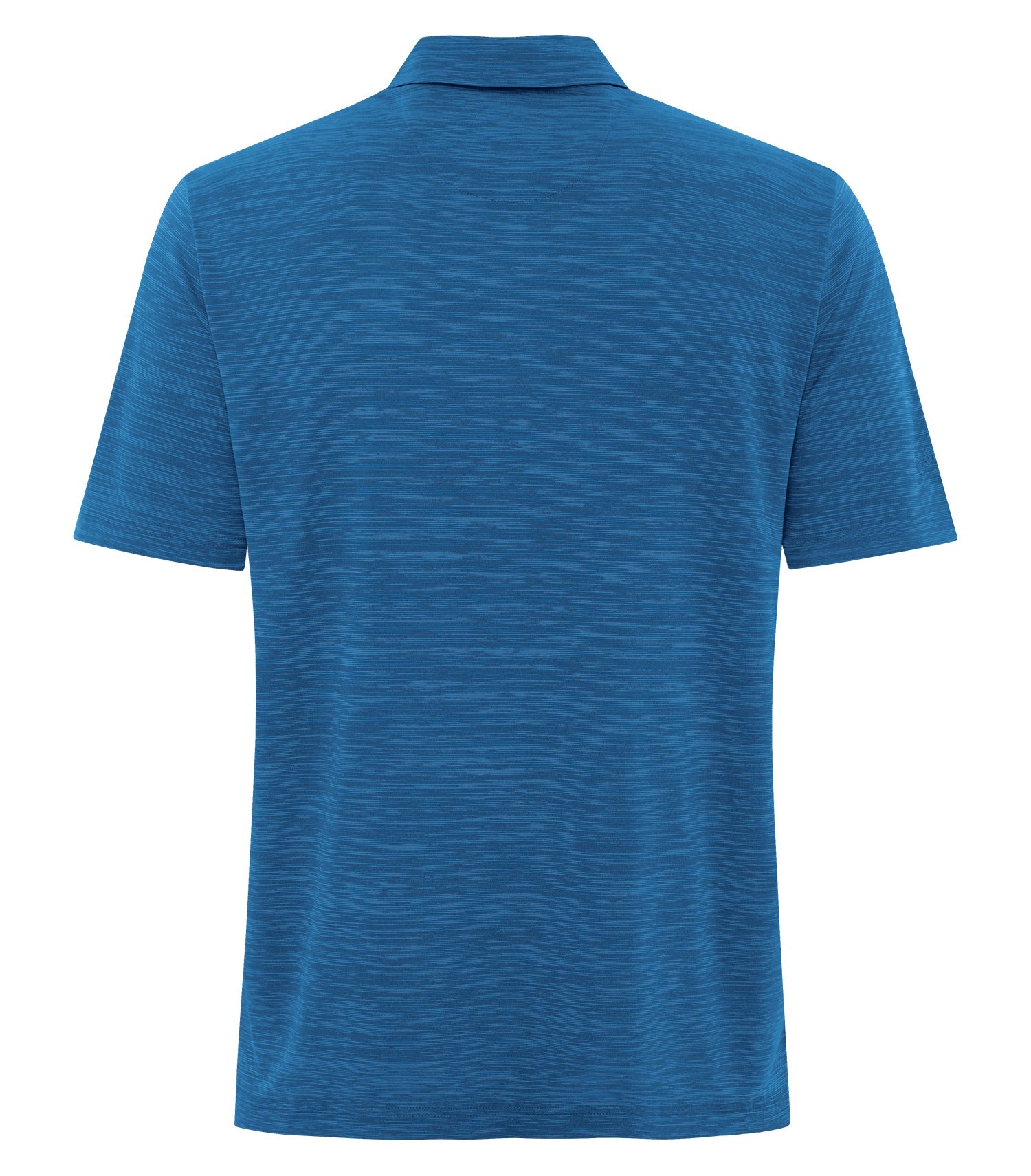 Blueberry-model Image