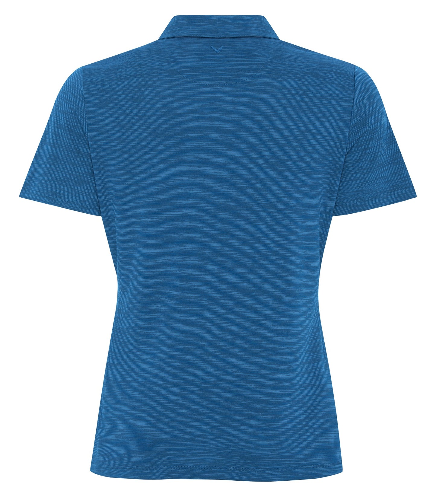 Blueberry-model Image