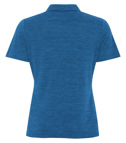 Blueberry-model Image