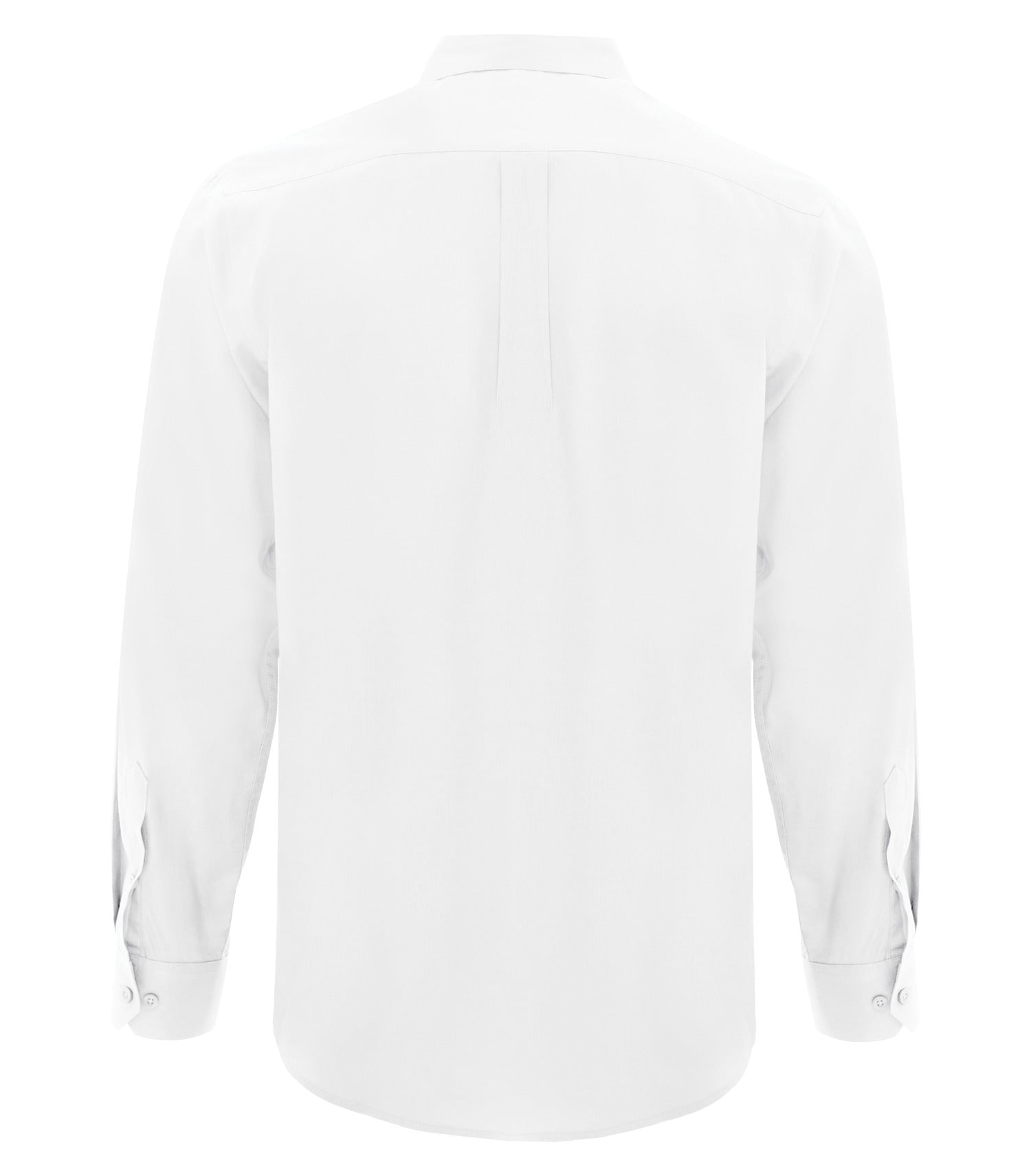 White-model Image